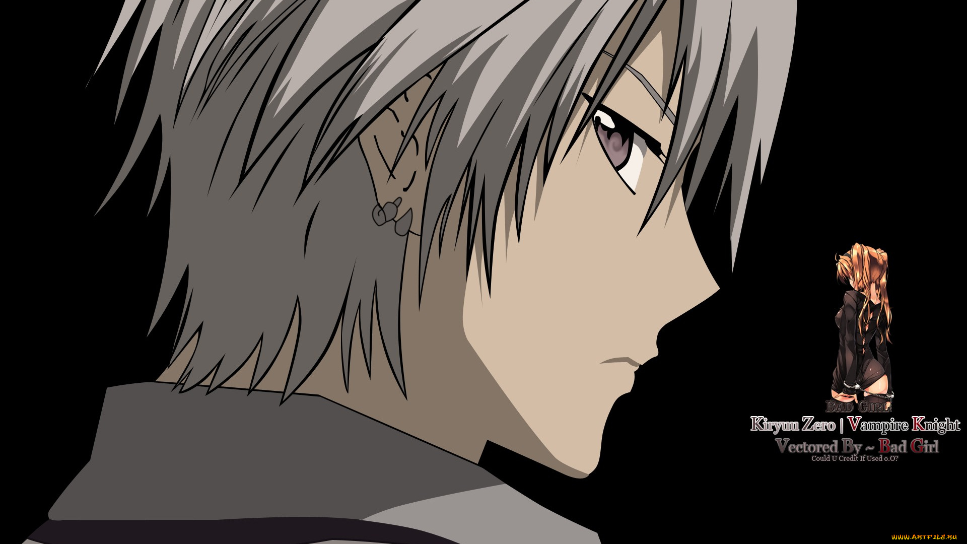 аниме, vampire, knight, vampire, knight