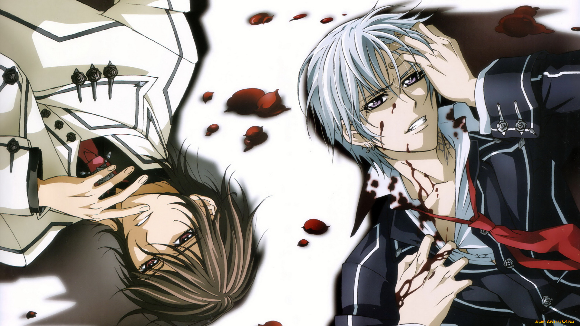 аниме, vampire, knight, vampire, knight