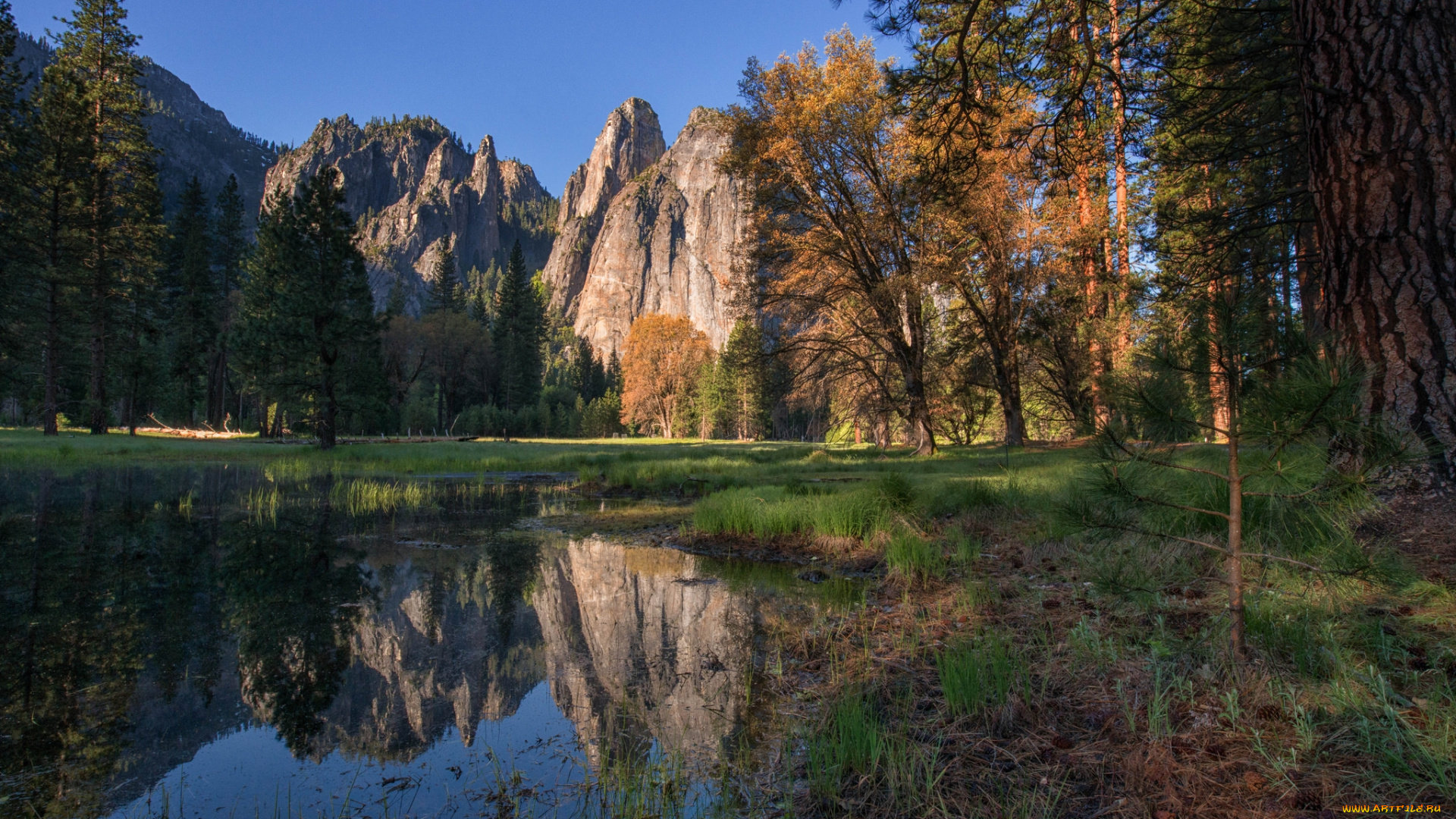 природа, реки, озера, горы, лес, река