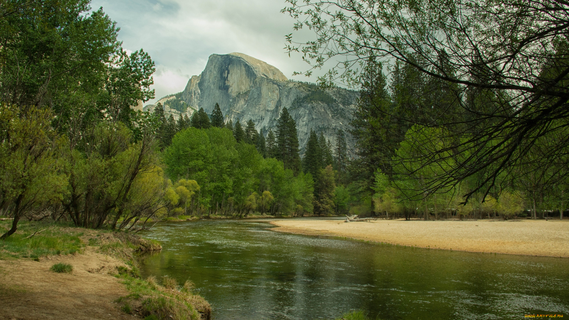 природа, реки, озера, река, лес, горы