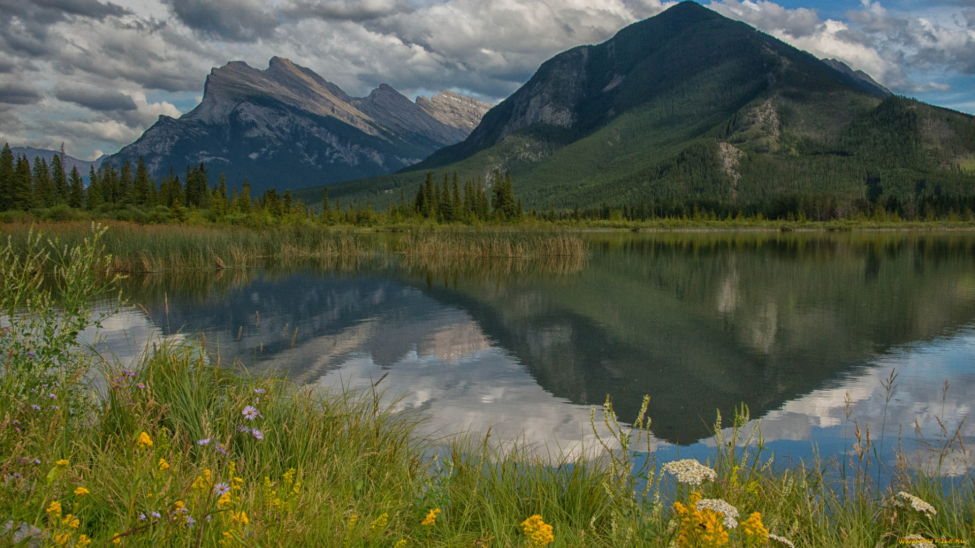 природа, реки, озера, река, лес, горы