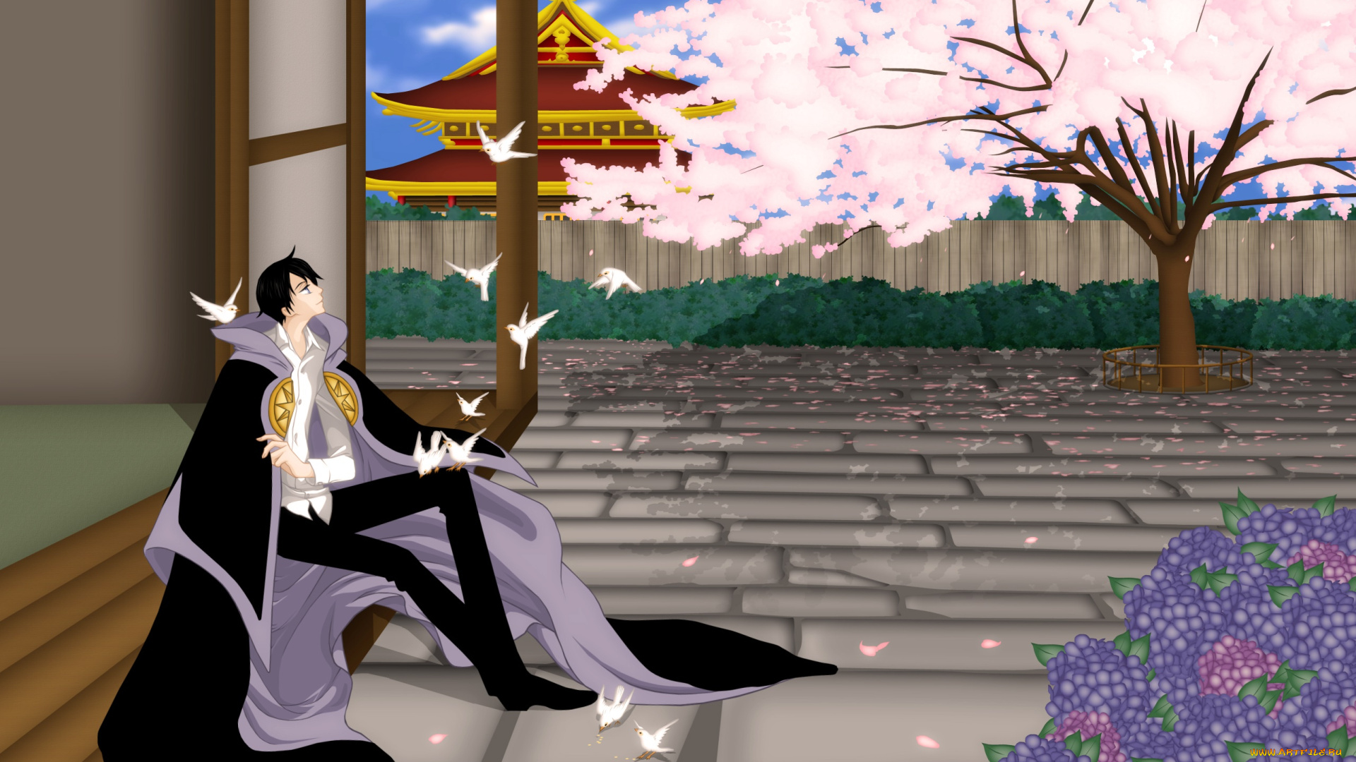 xxxholic, аниме, персонаж