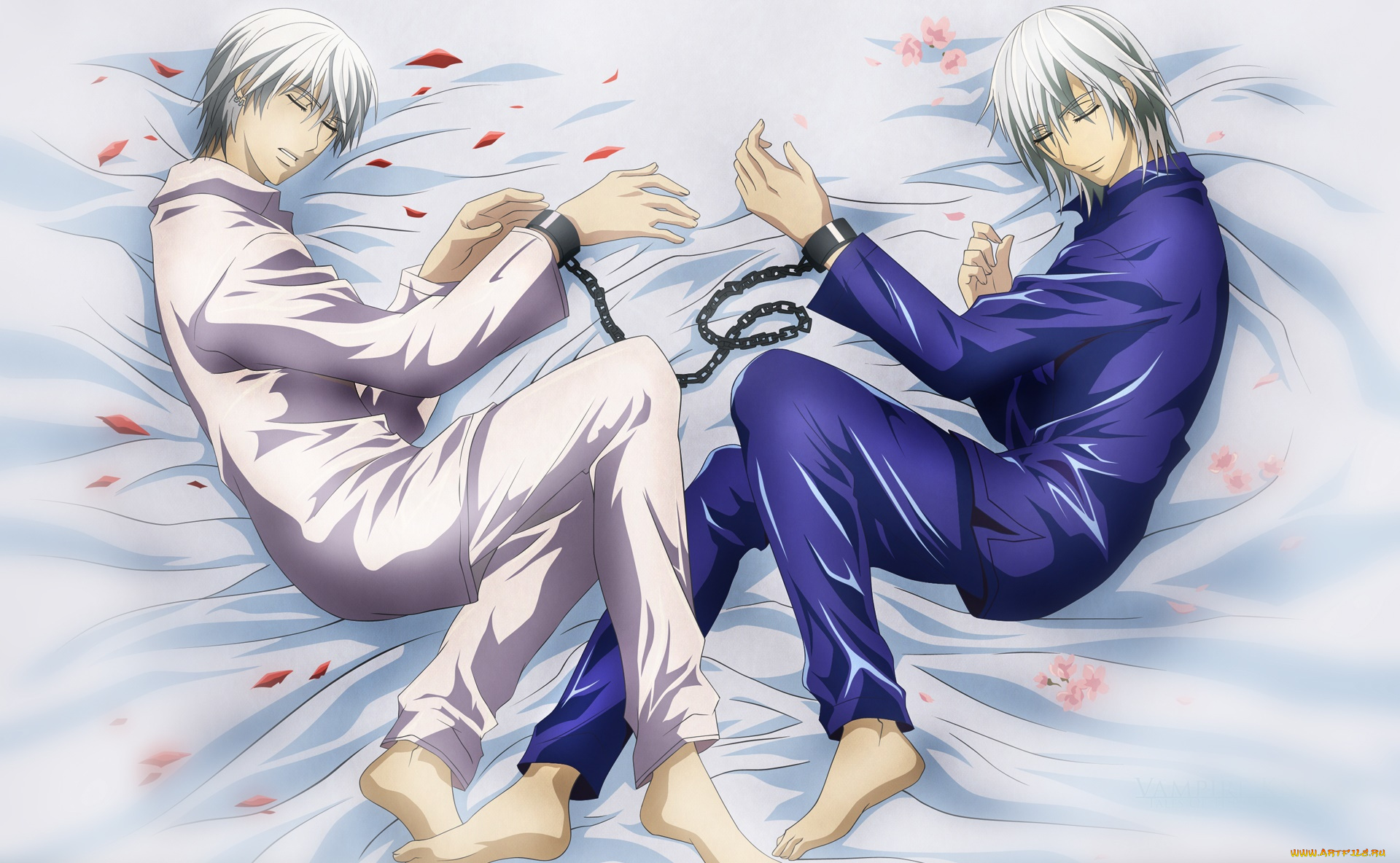 аниме, vampire, knight, персонажи