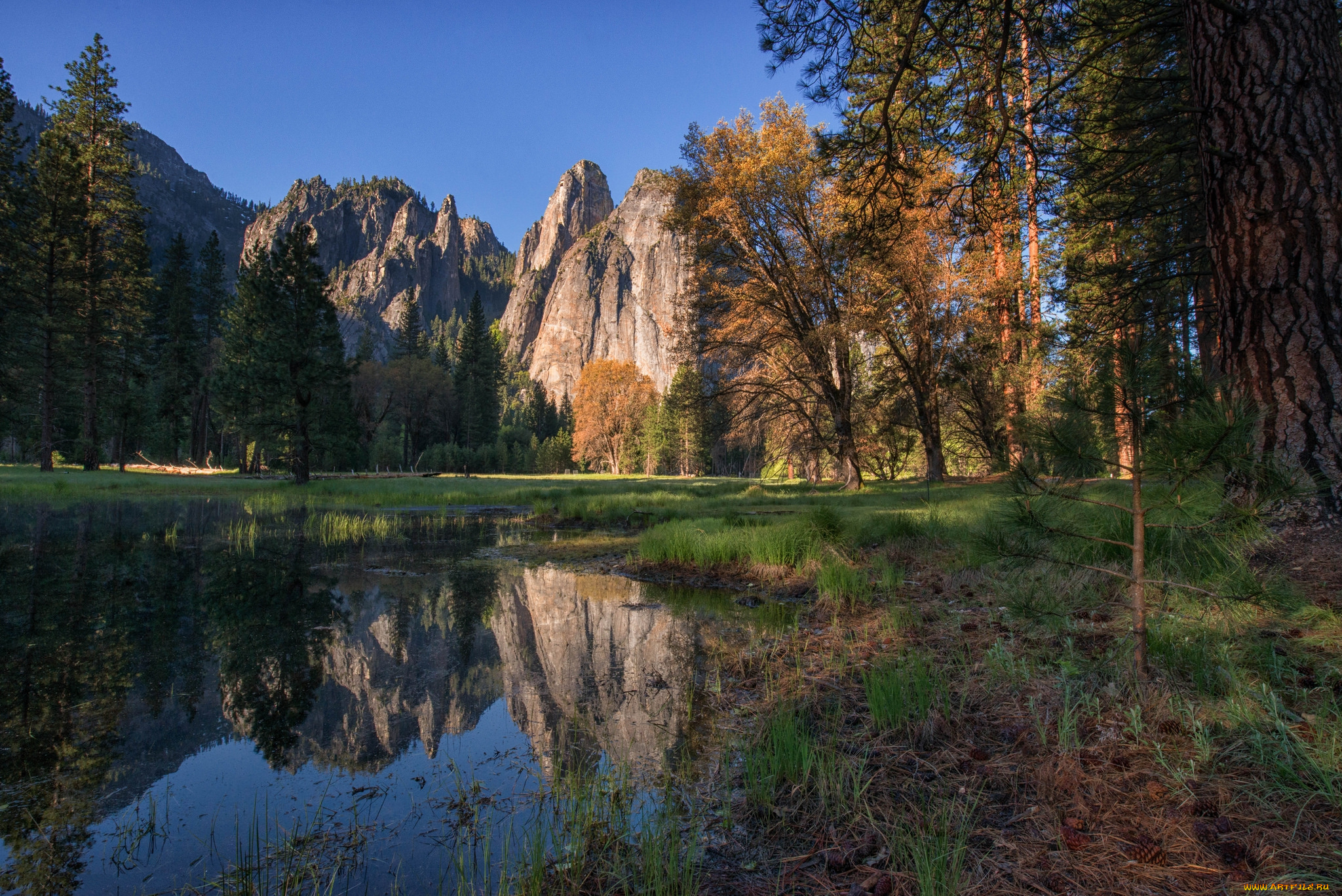 природа, реки, озера, горы, лес, река