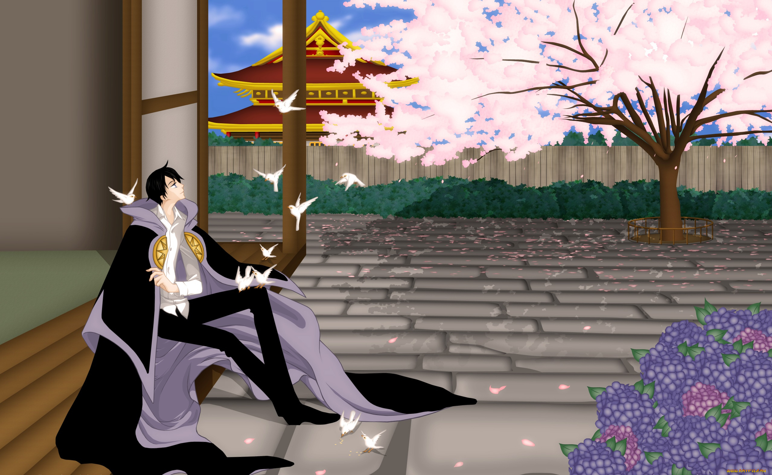 xxxholic, аниме, персонаж