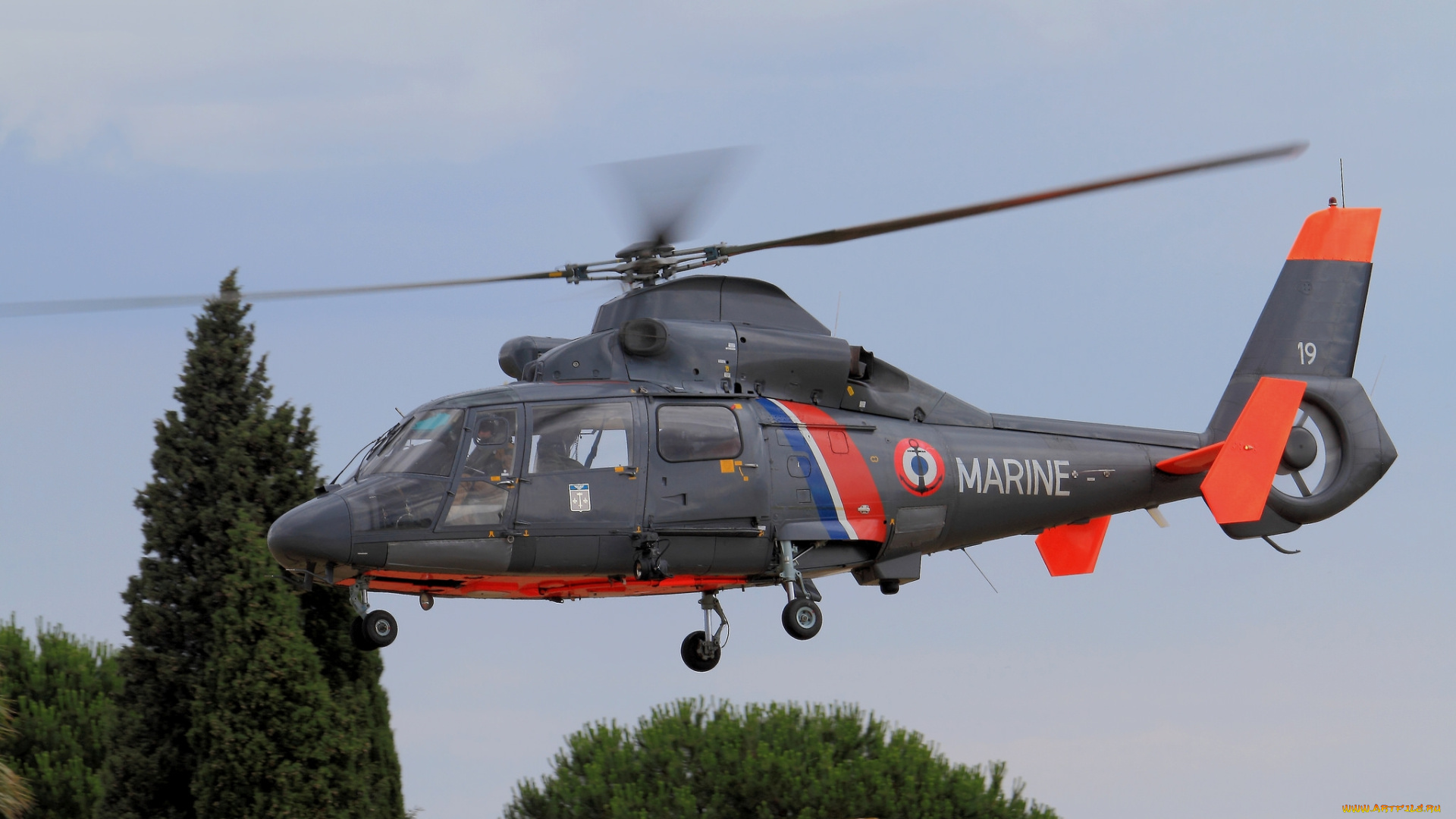 a&, 233, rospatiale, as, 365, sp, dauphin, авиация, вертолёты, вертушка