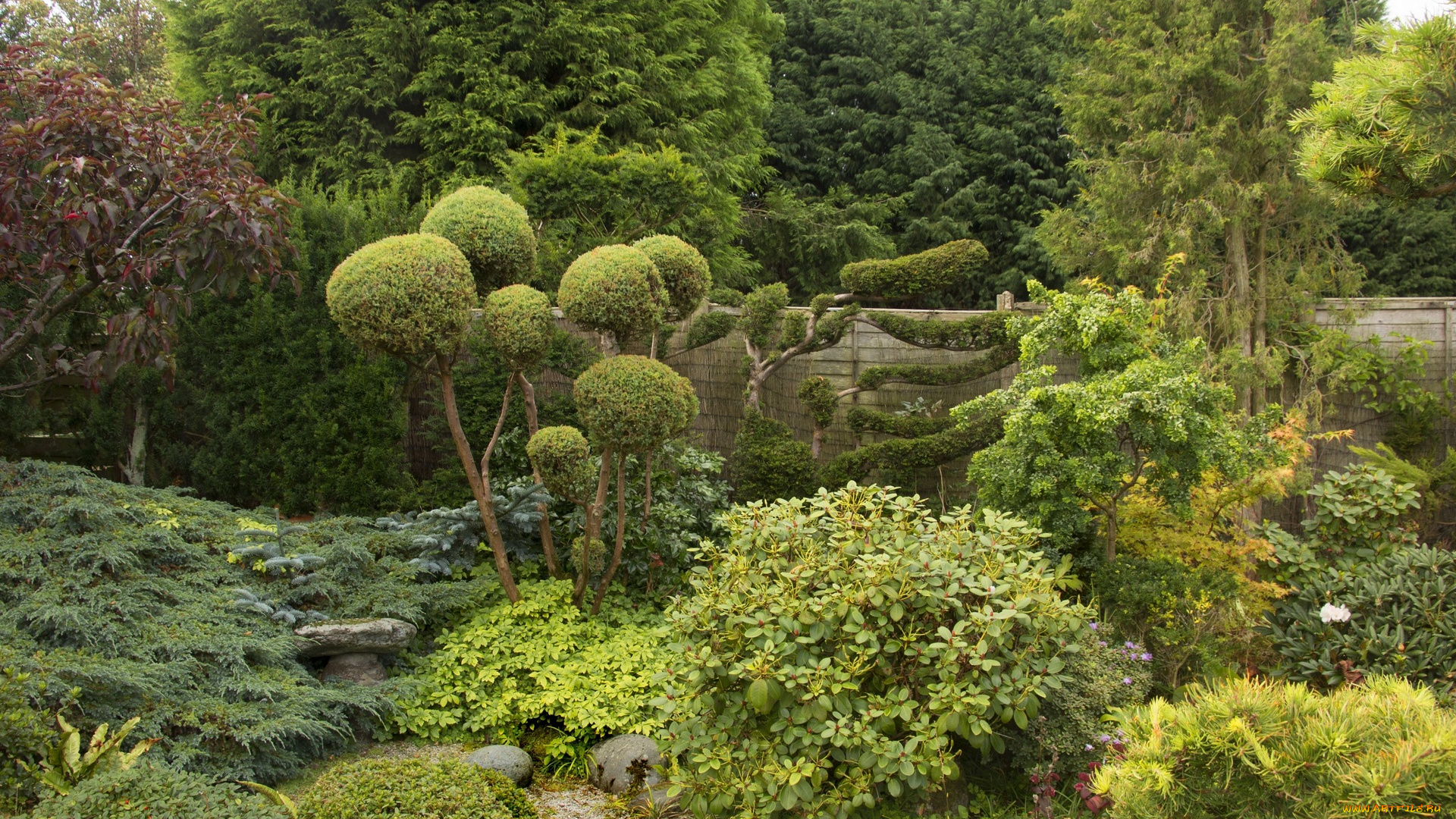 англия, природа, парк, стена, деревья, растения