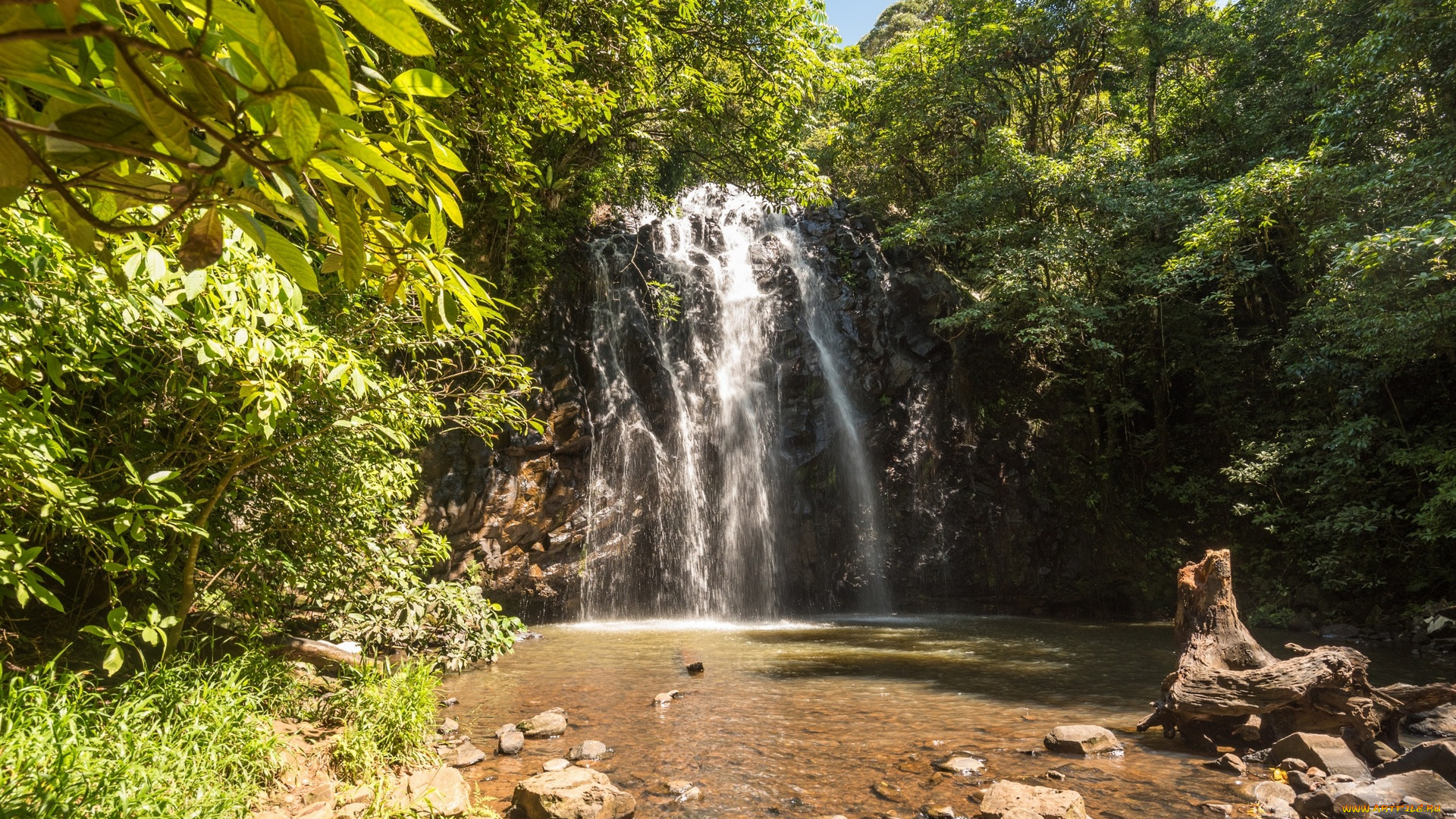 австралия, природа, водопады, водоем, деревья, трава, камни