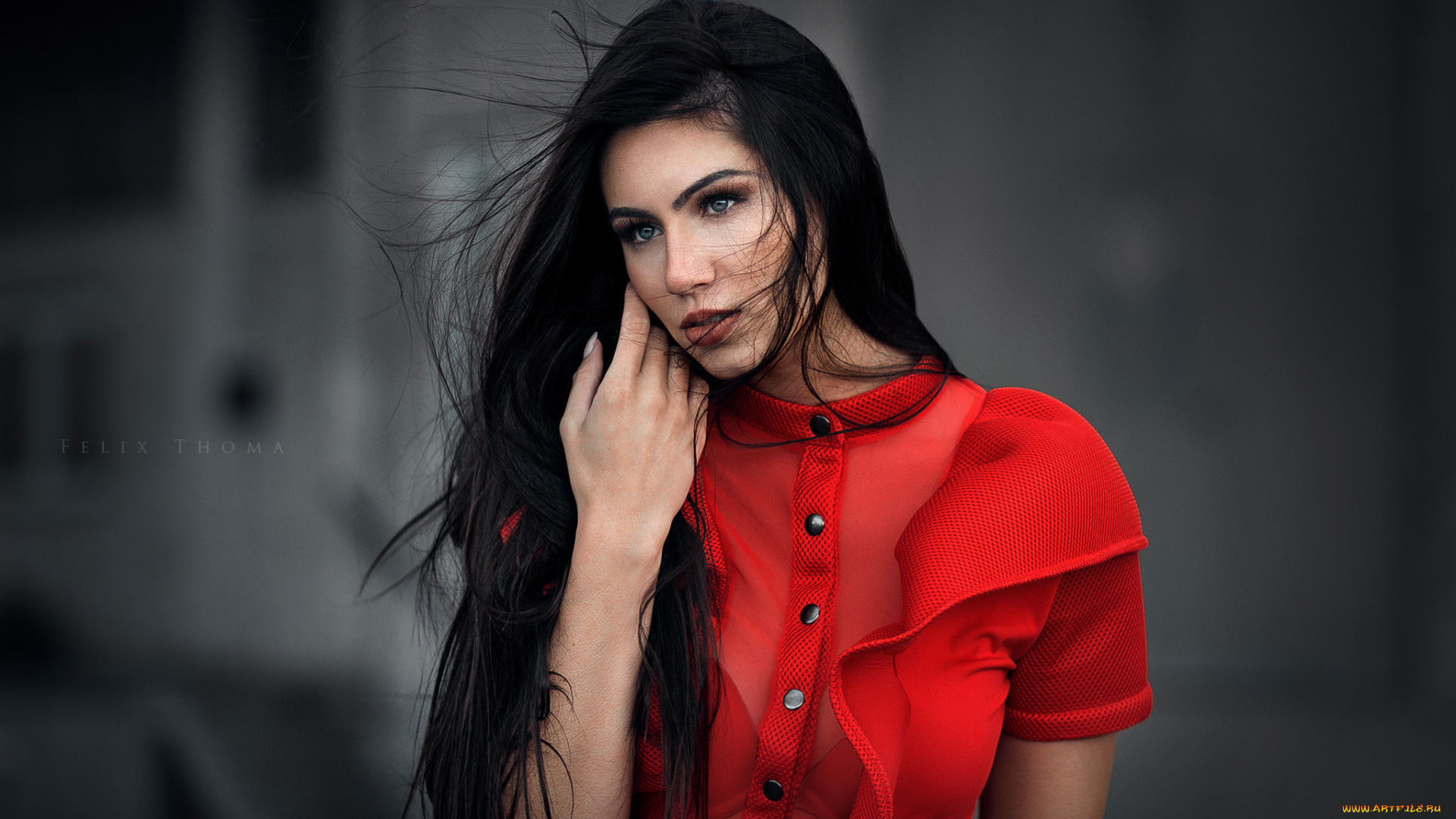 девушки, -unsort, , брюнетки, , шатенки, брюнетка, девушка, модель