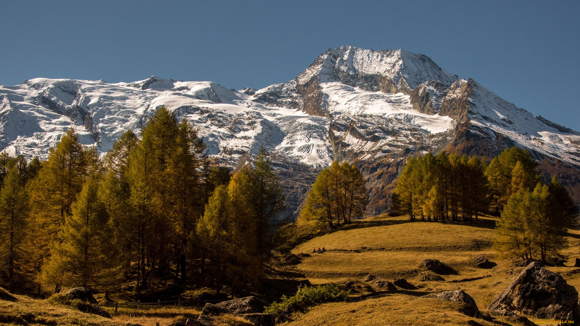 франция, природа, горы, деревья, камни