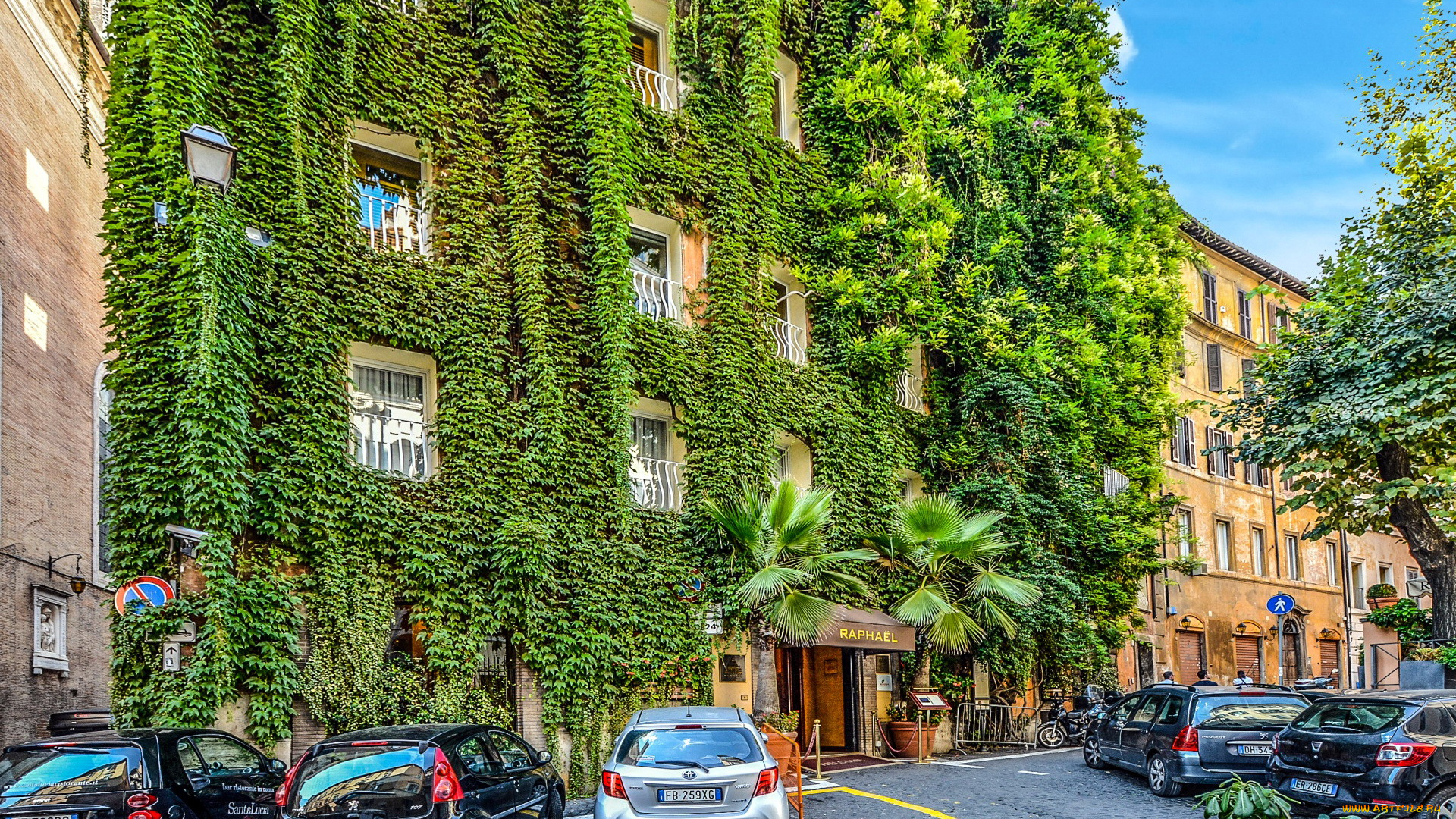 города, рим, , ватикан, , италия, стоянка, пальмы, отель