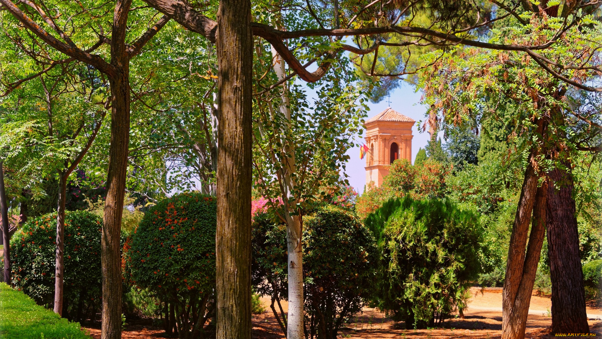 испания, природа, парк, здание, кустарники, деревья