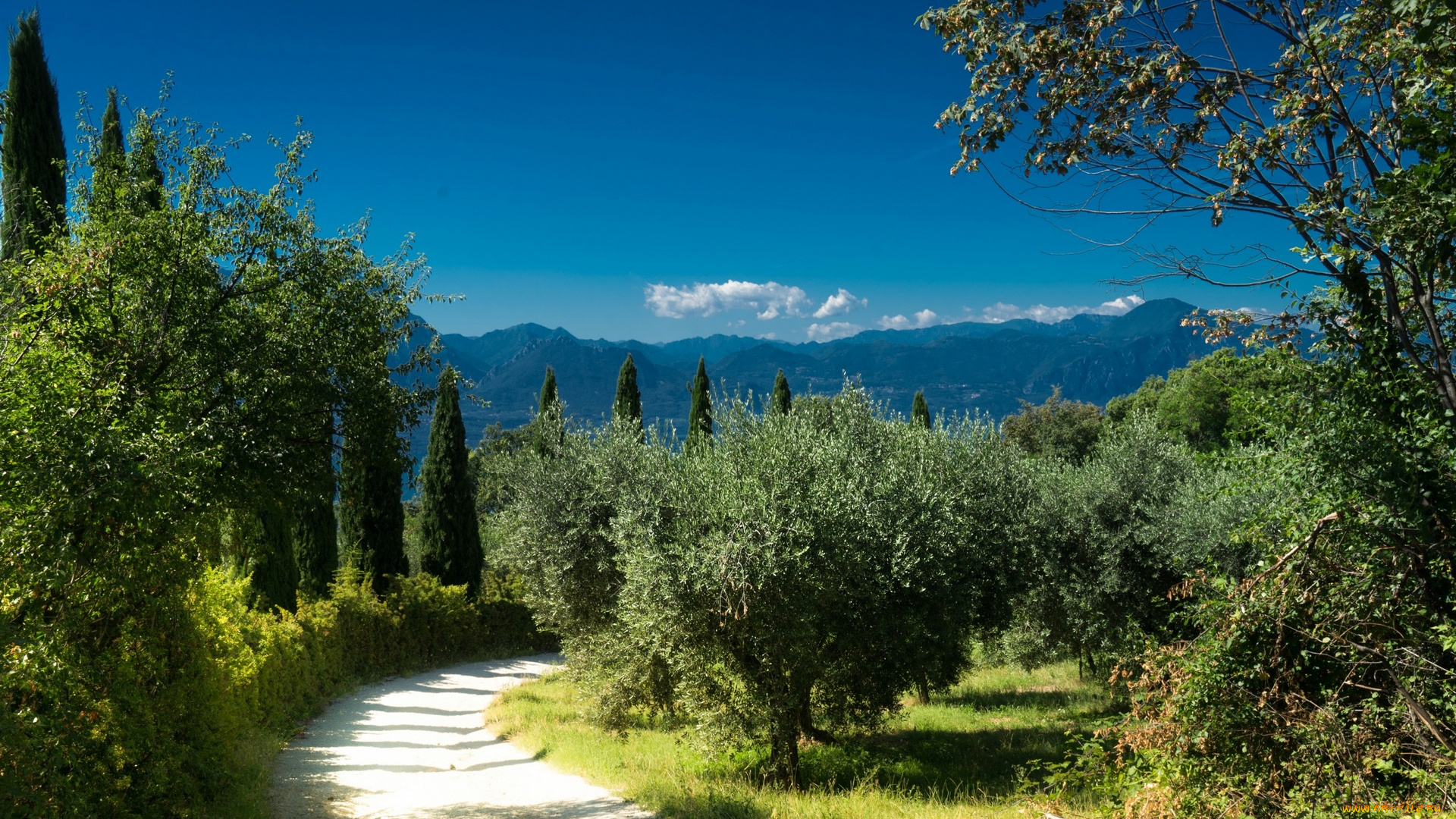 италия, природа, дороги, трава, дерево, горы, облака