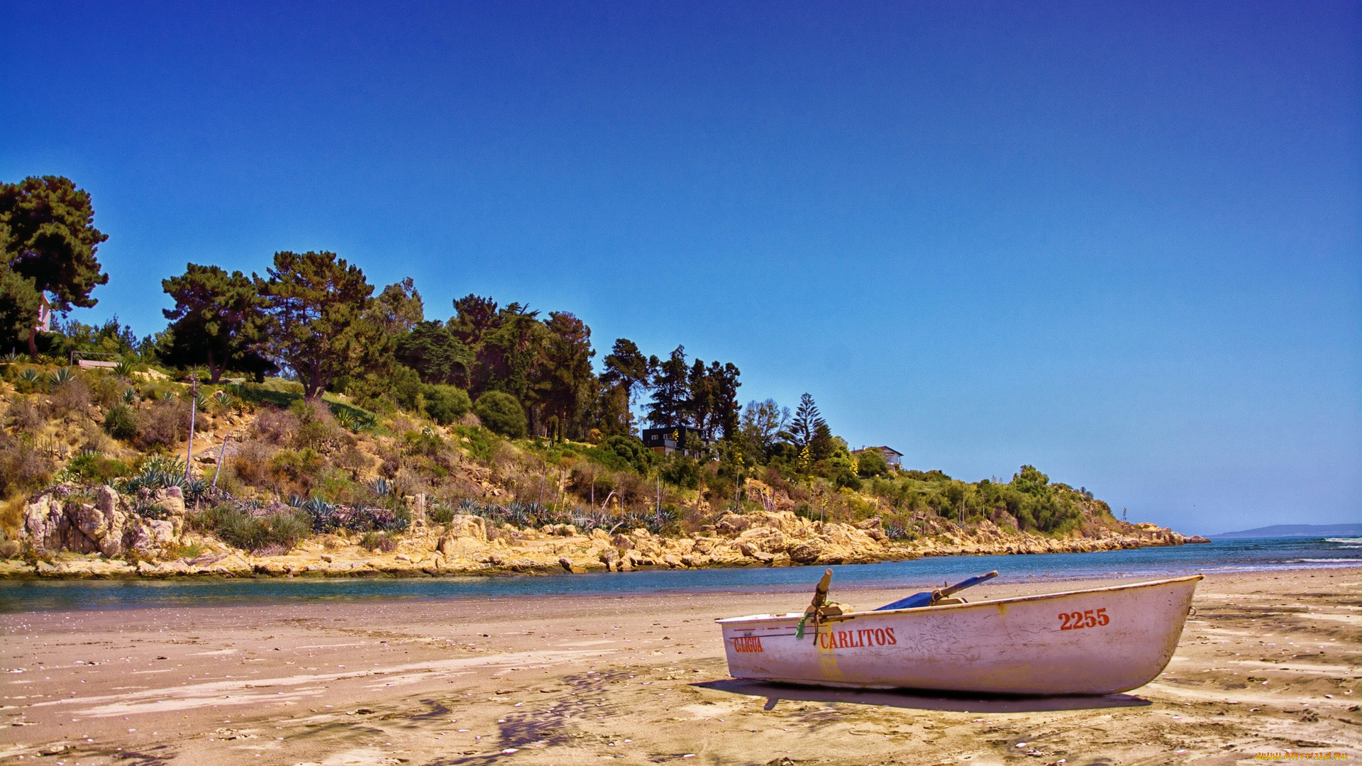 корабли, лодки, , шлюпки, водоем, берег, деревья