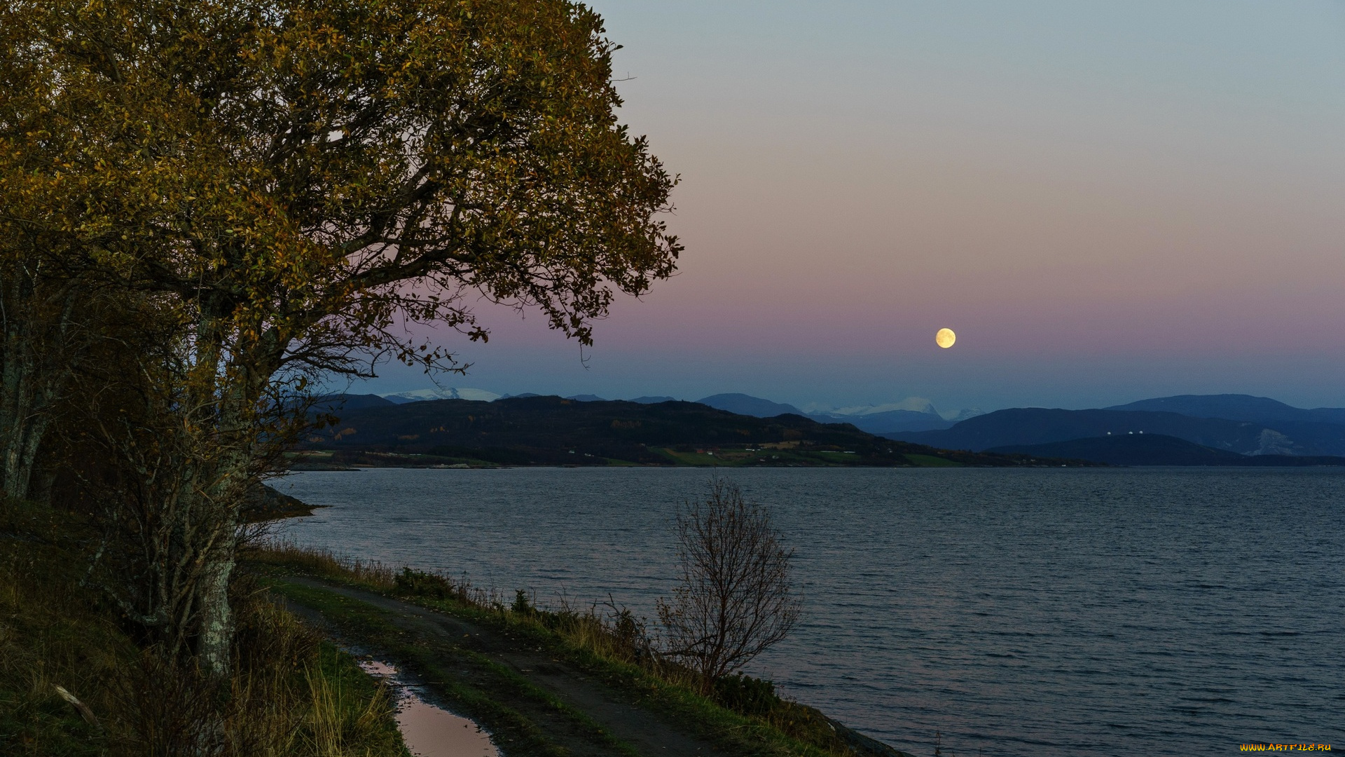 норвегия, природа, реки, озера, деревья, дорога, водоем, горы, лужи