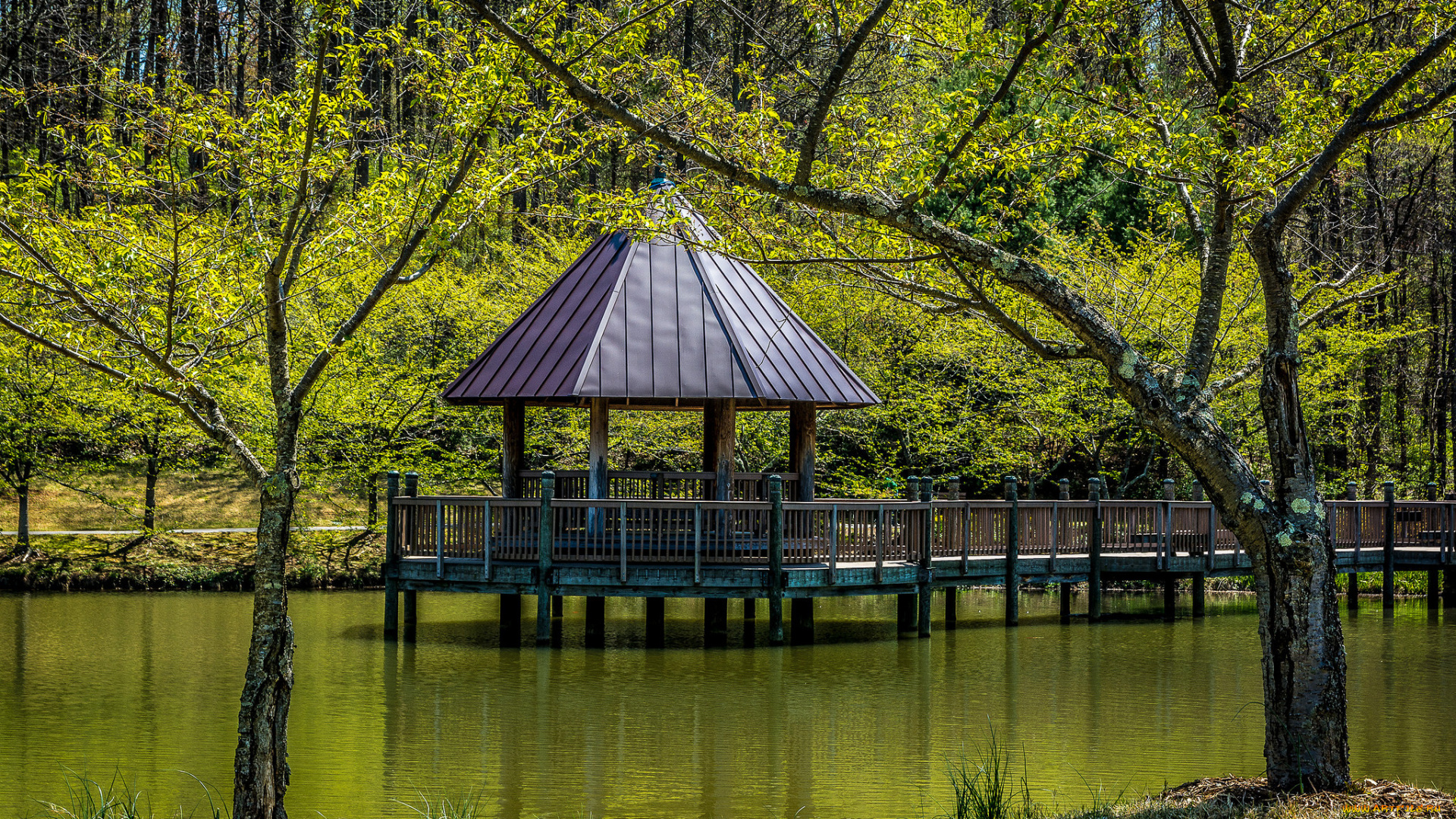 природа, парк