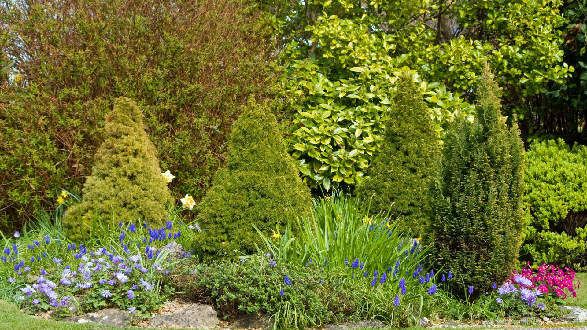 природа, парк, деревья, цветы, кусты