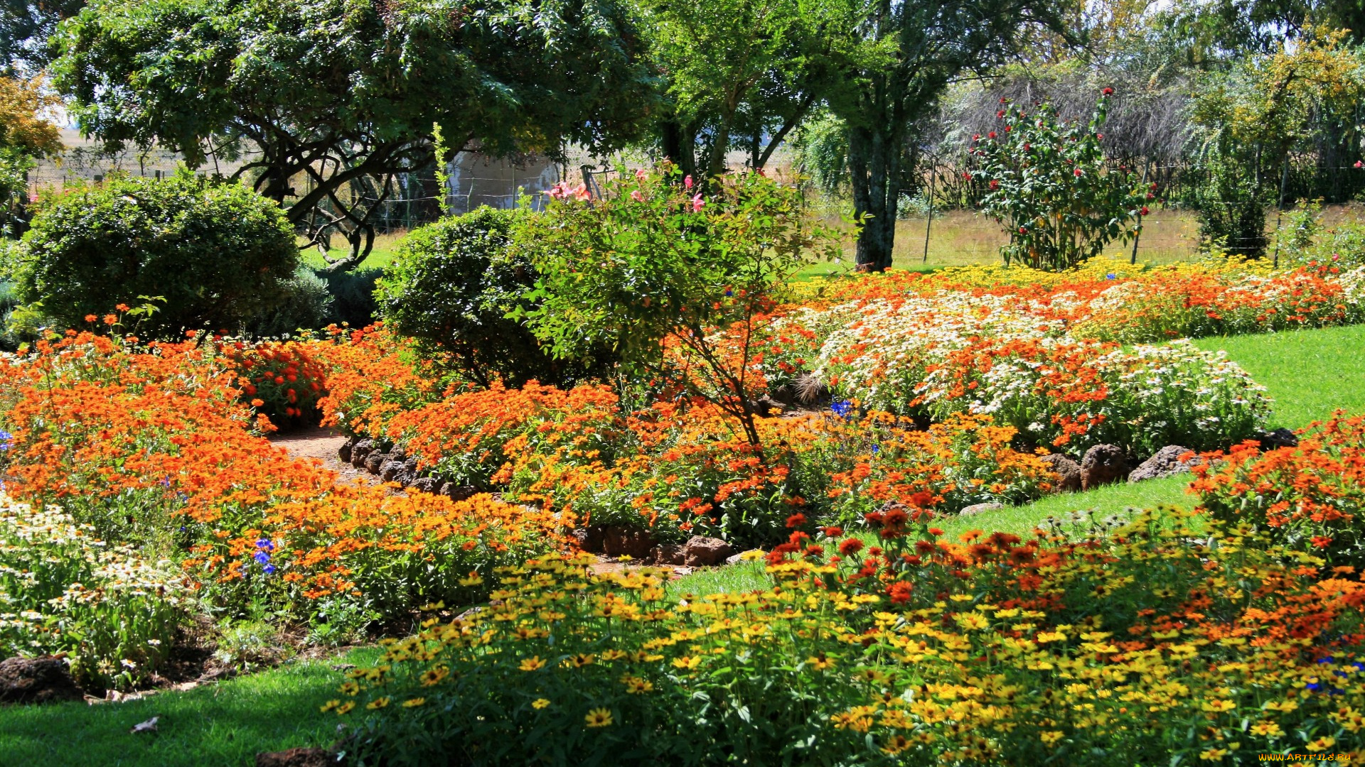 природа, парк, деревья, клумбы, цветы