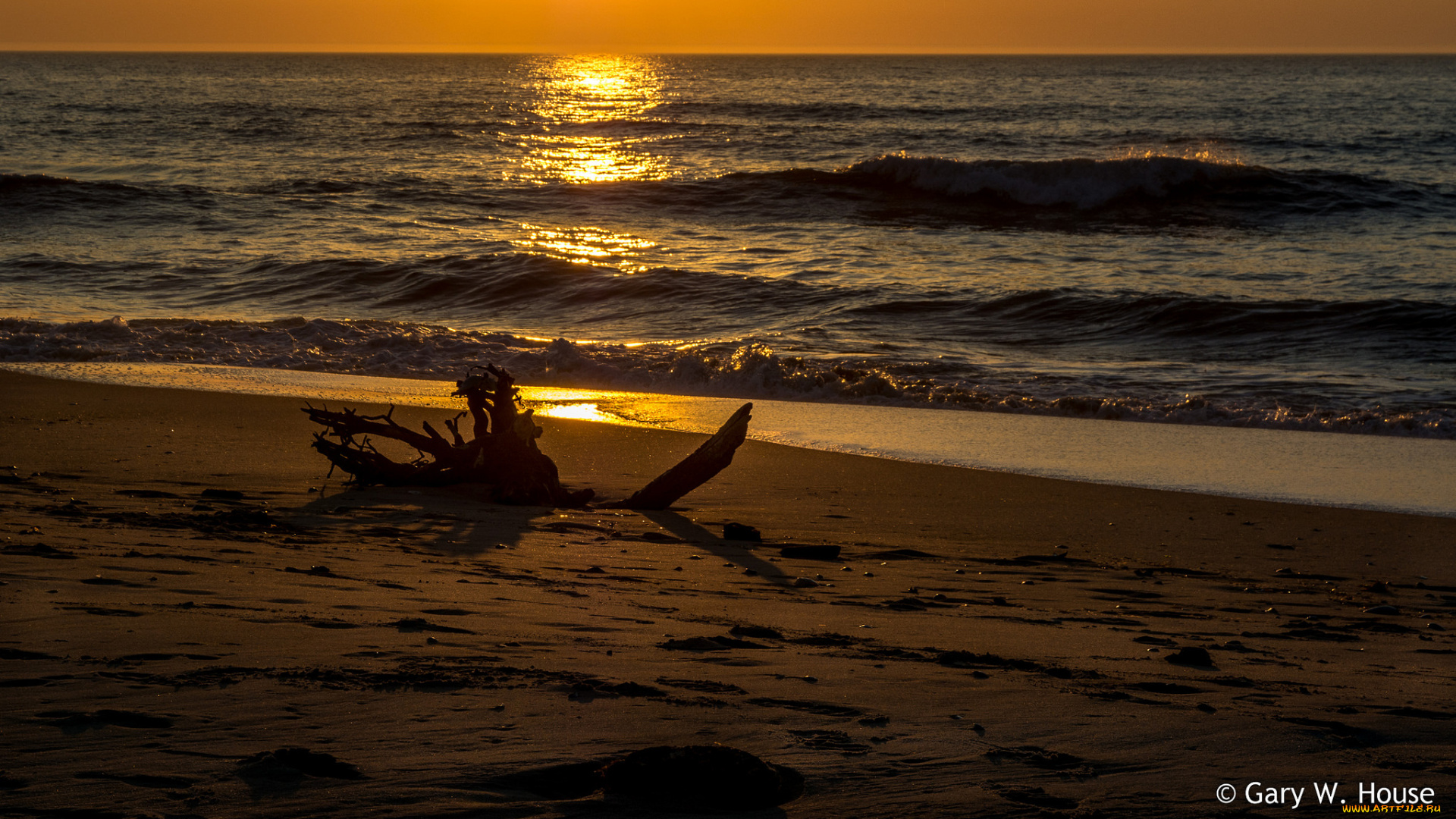 природа, побережье, закат