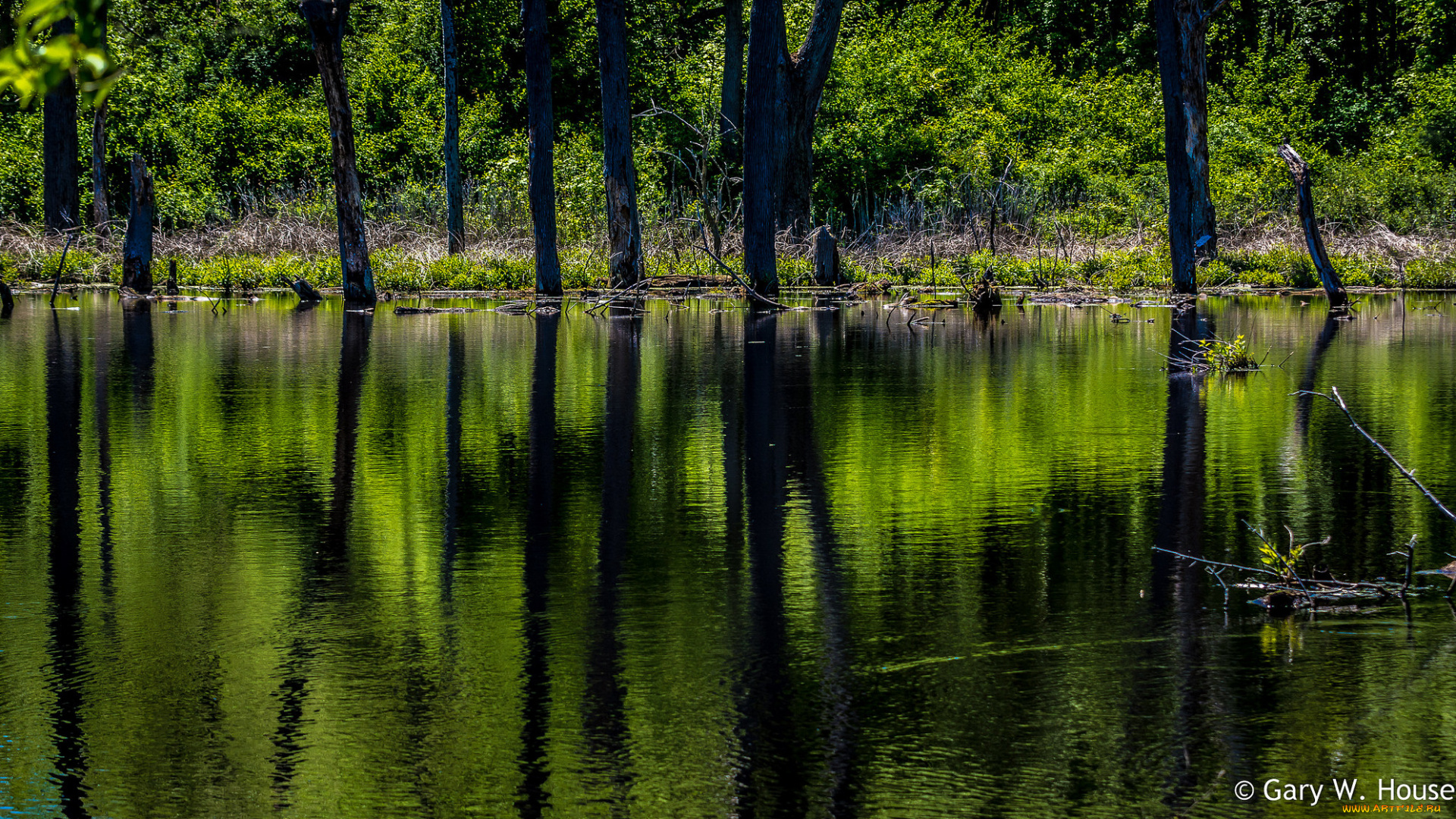 природа, реки, озера, озеро