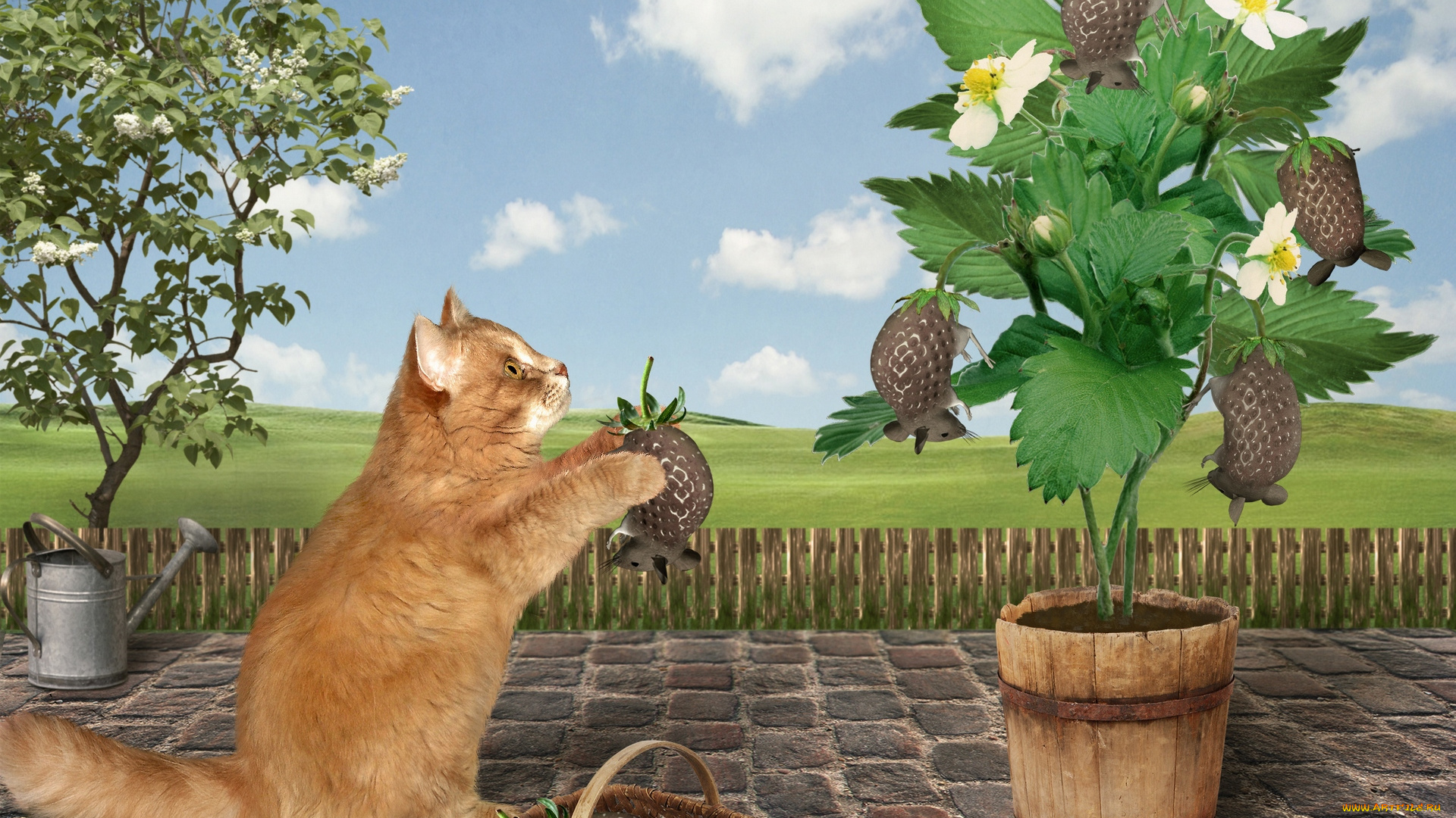 разное, компьютерный, дизайн, кошка, клубника, мыши, корзина, лейка, забор, облака