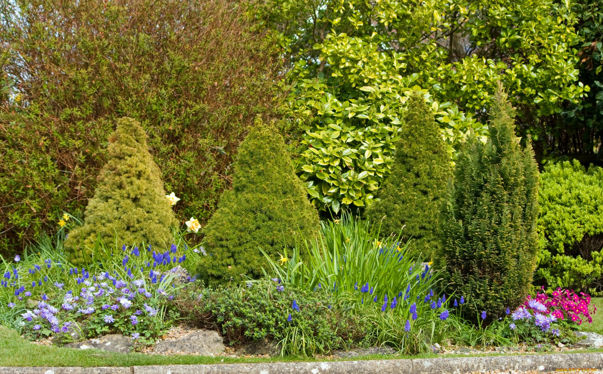 природа, парк, деревья, цветы, кусты