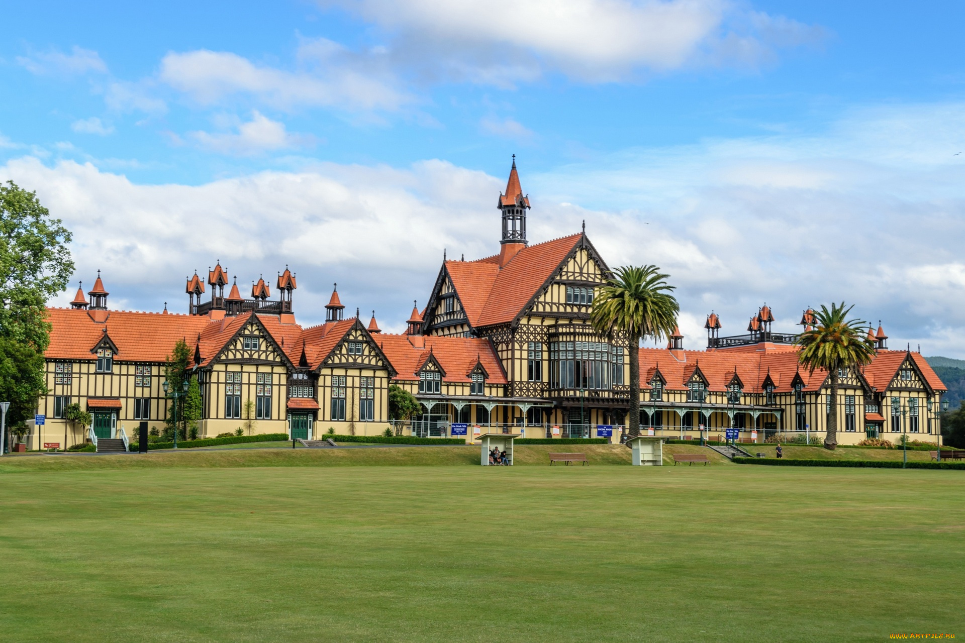 новая, зеландия, города, -, здания, , дома, газон, пальмы, скамейки, облака