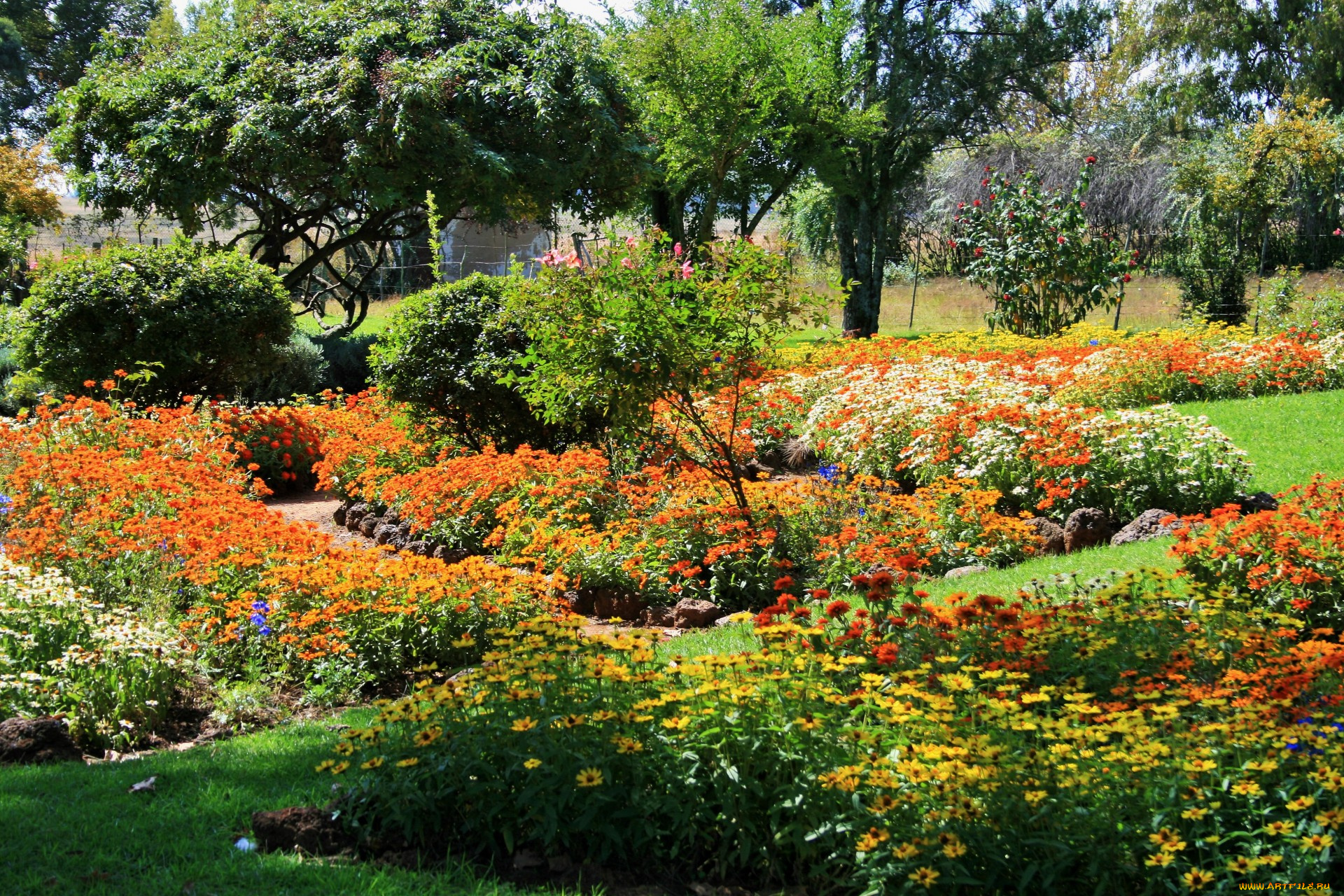 природа, парк, деревья, клумбы, цветы