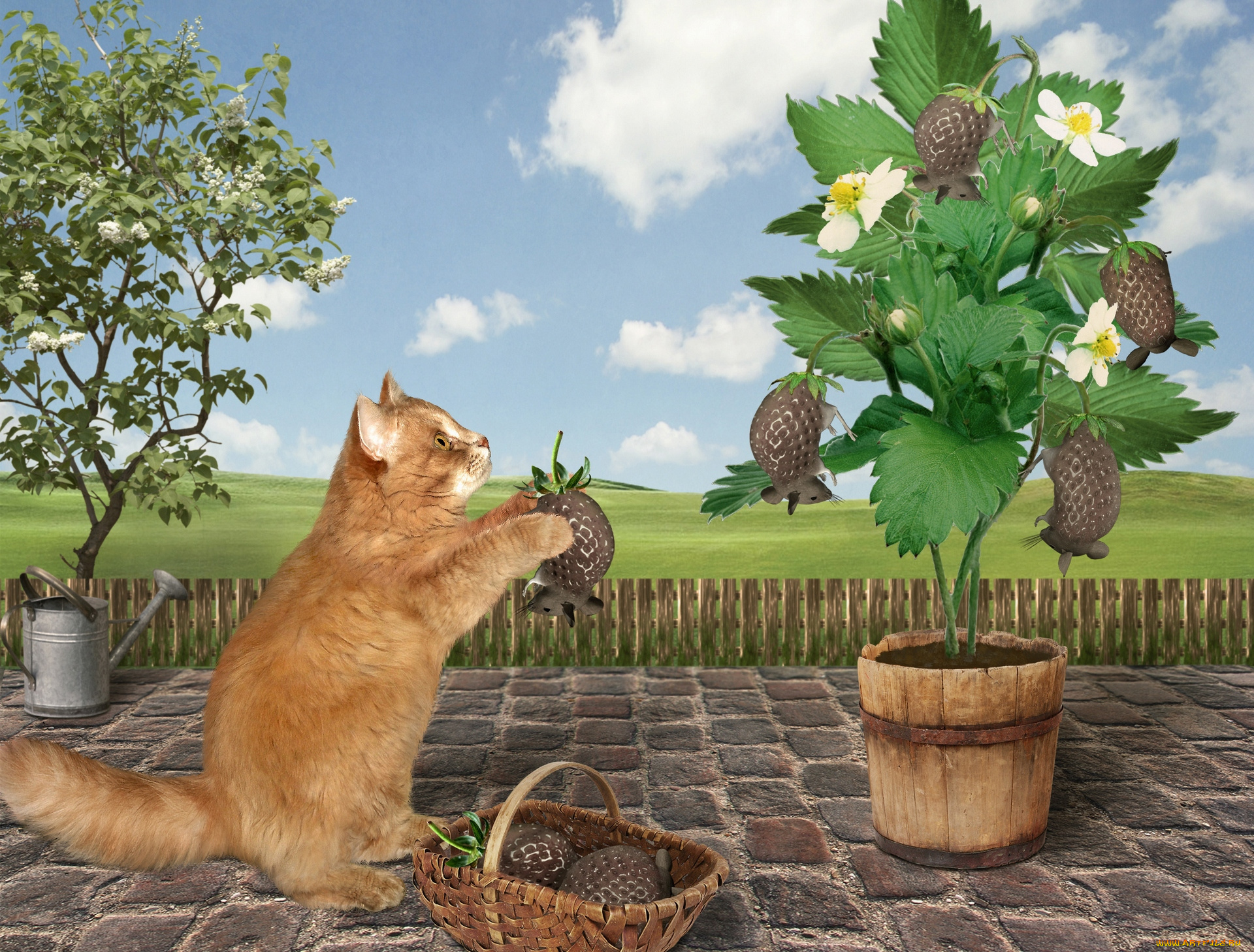 разное, компьютерный, дизайн, кошка, клубника, мыши, корзина, лейка, забор, облака