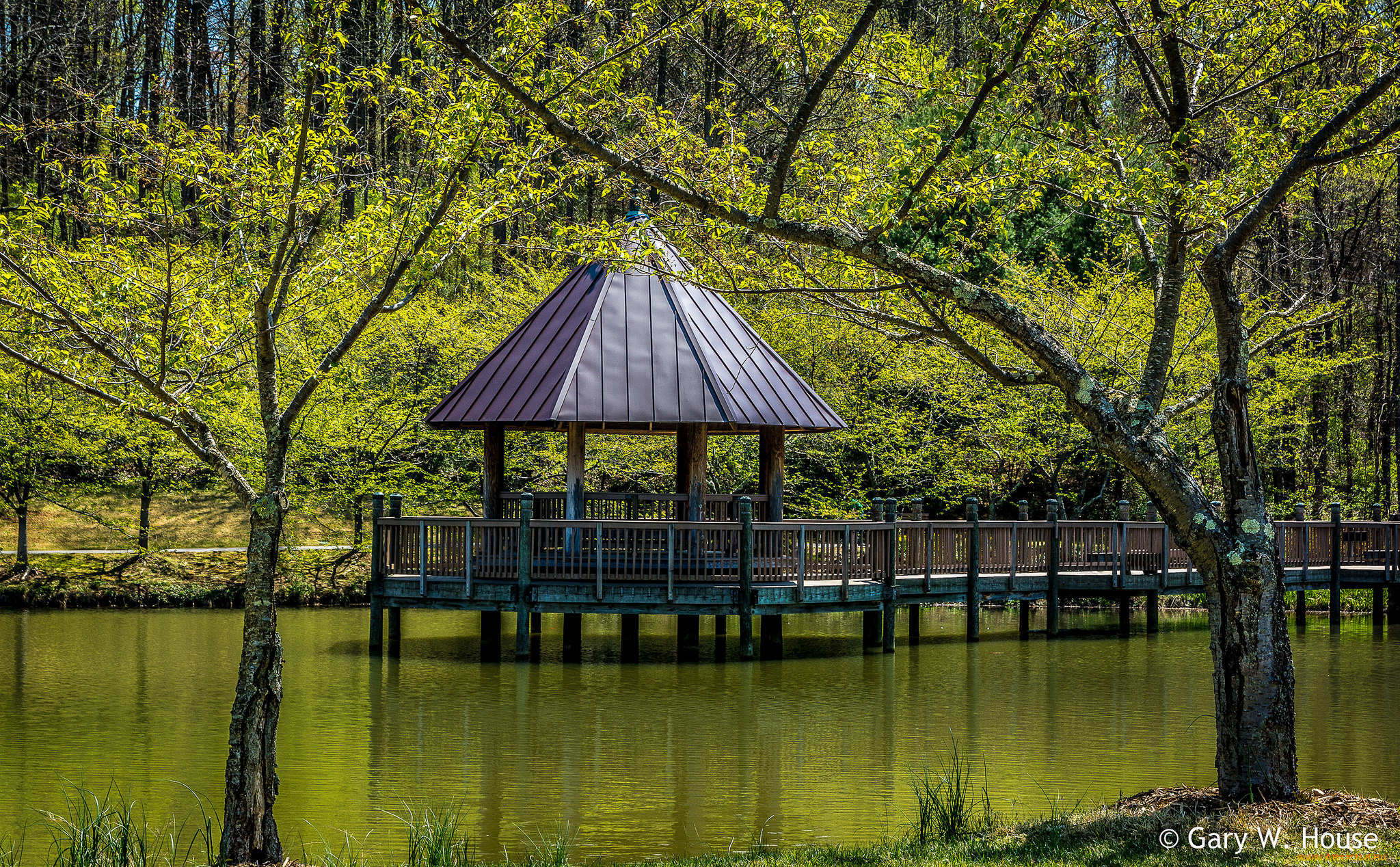 природа, парк