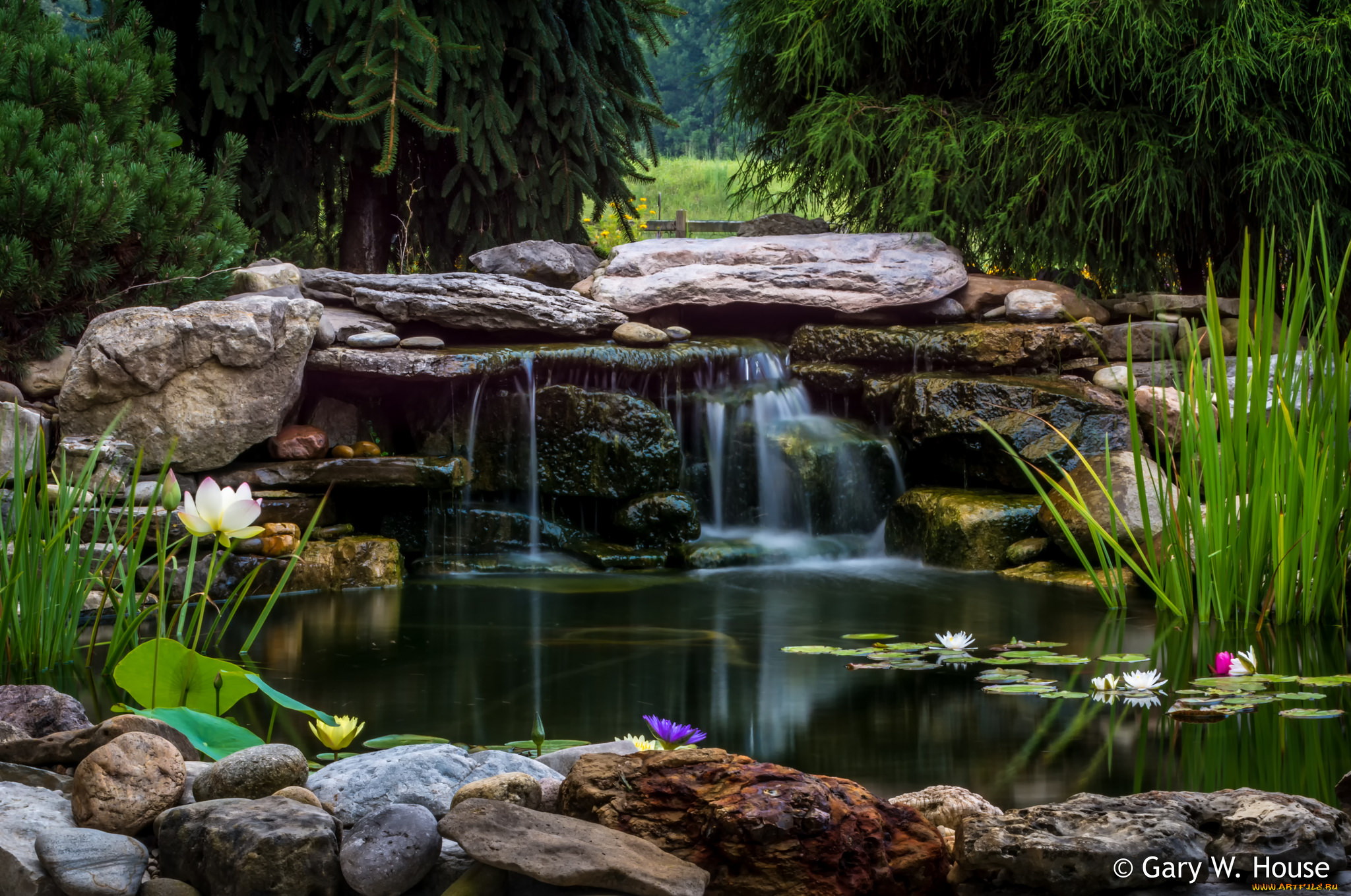 природа, водопады, парк