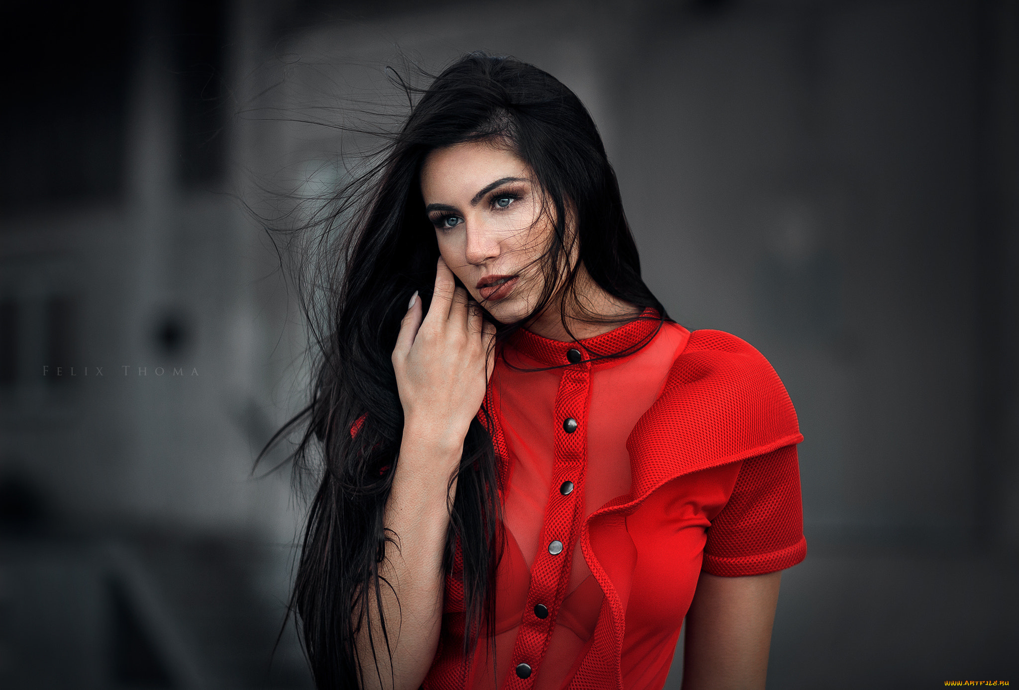 девушки, -unsort, , брюнетки, , шатенки, брюнетка, девушка, модель