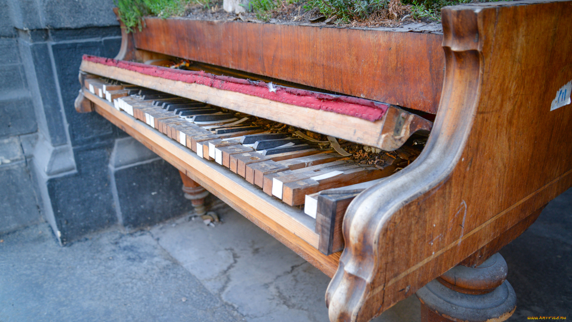 музыка, -музыкальные, инструменты, пианино, улица