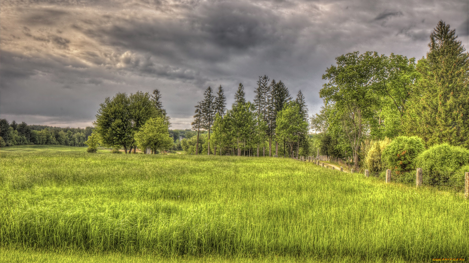 природа, пейзажи, простор