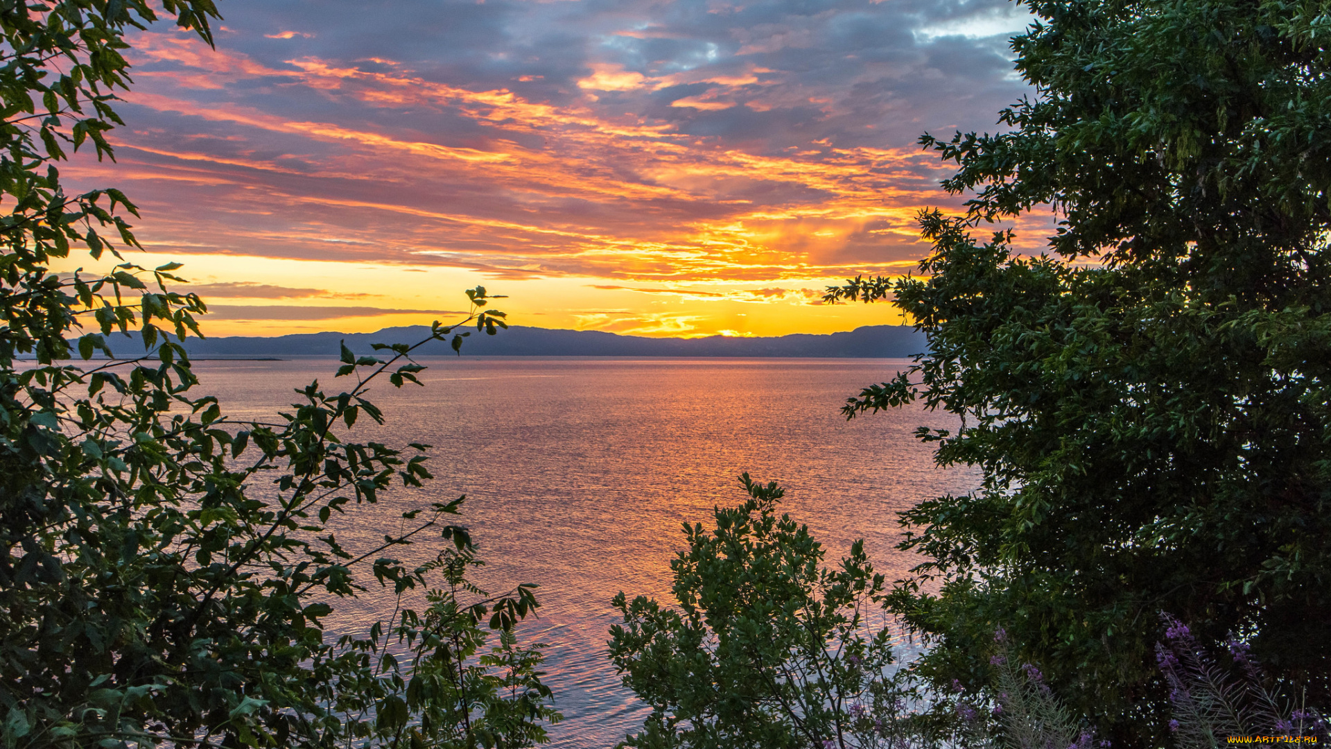 природа, реки, озера, простор