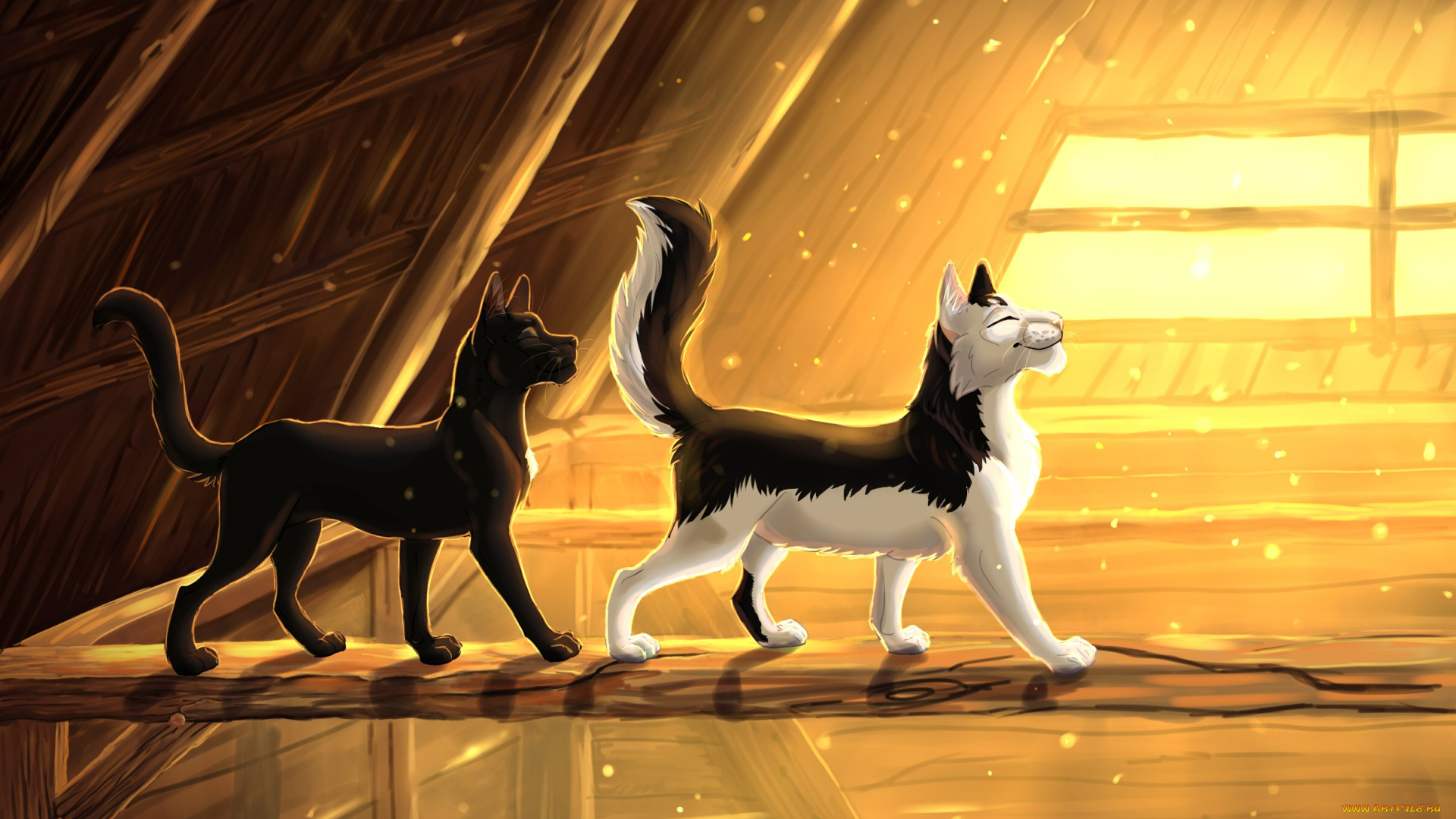 векторная, графика, животные, , animals, коты