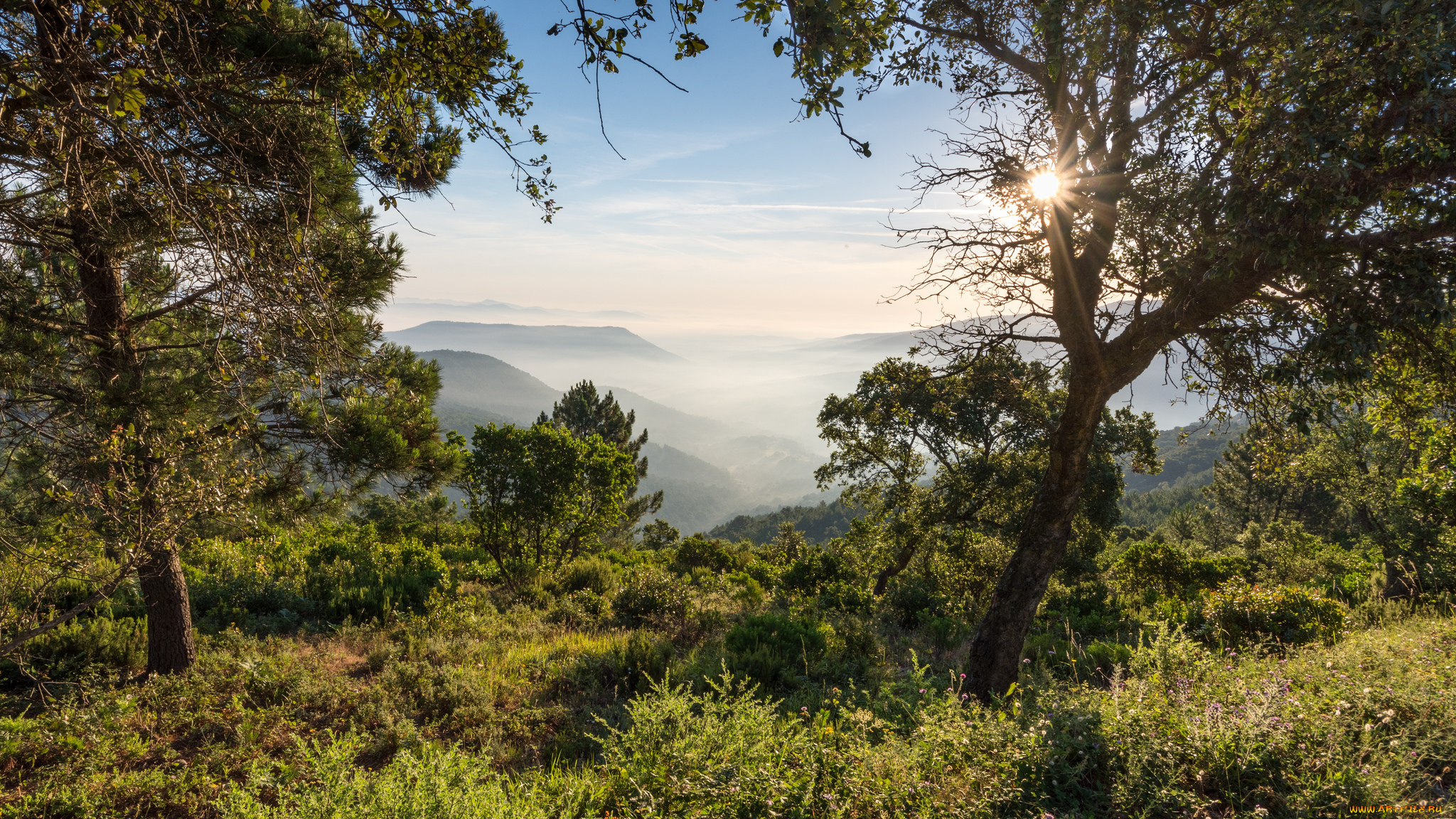 природа, пейзажи, простор