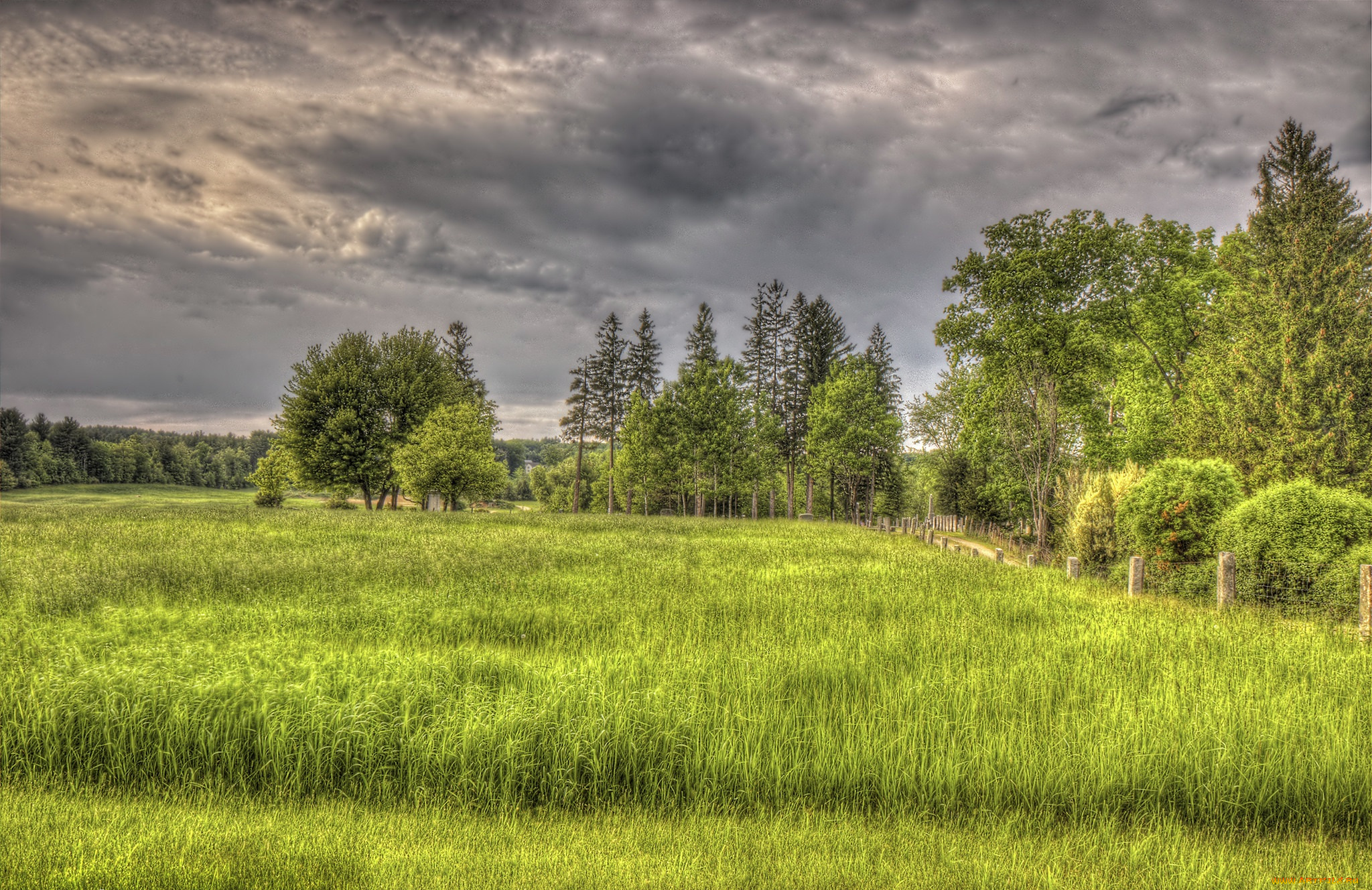 природа, пейзажи, простор