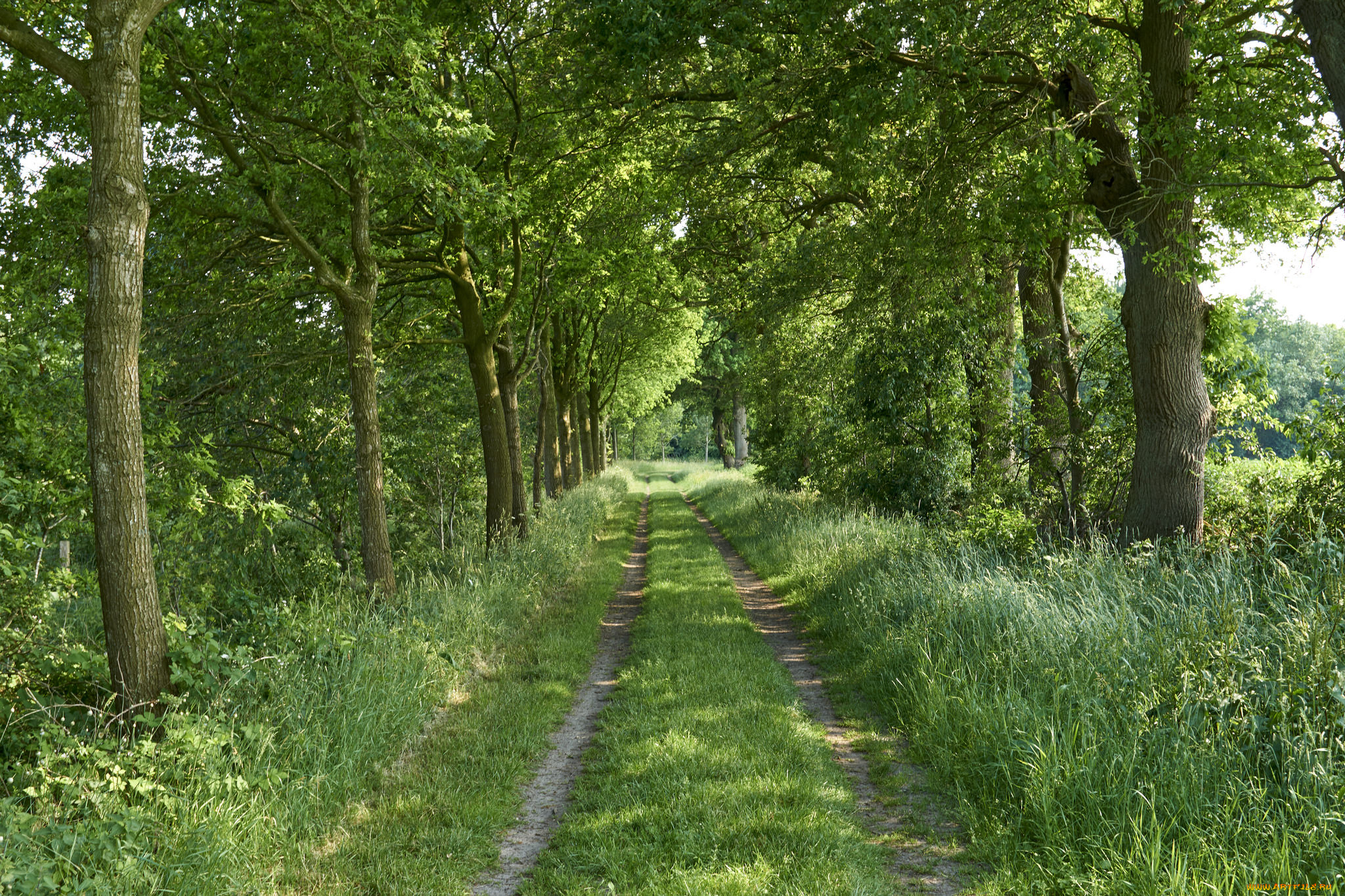 природа, дороги, простор