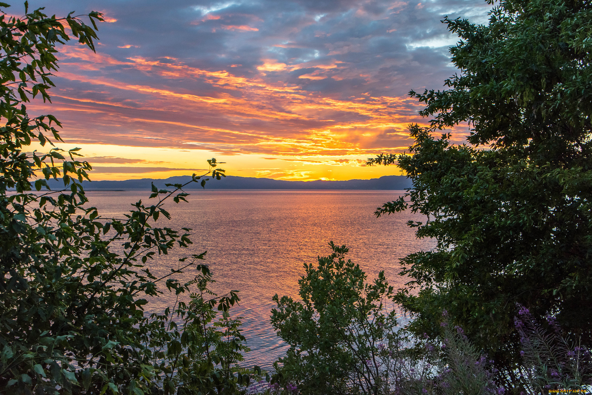 природа, реки, озера, простор