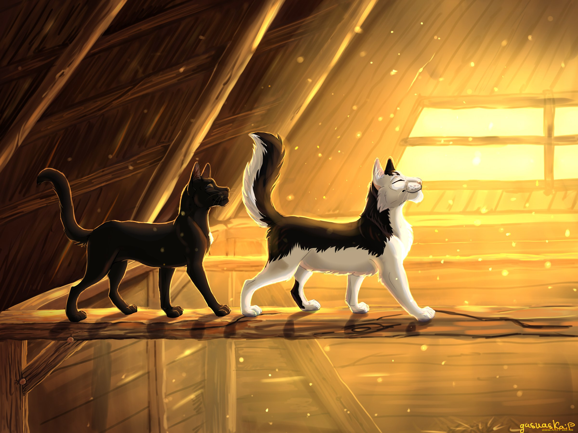 векторная, графика, животные, , animals, коты