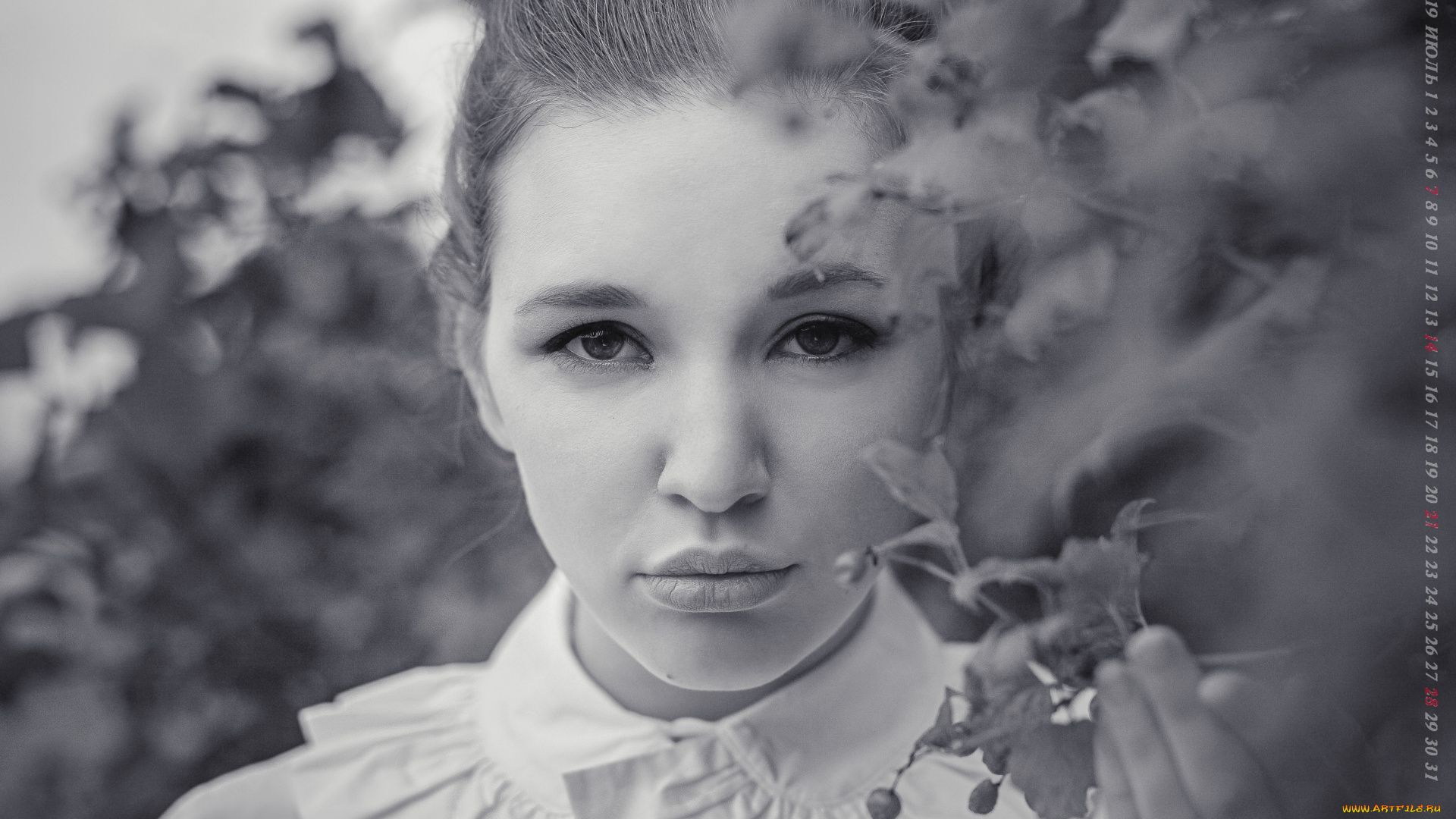 календари, компьютерный, дизайн, лицо, девушка, 2019, calendar, ветка, листья, взгляд