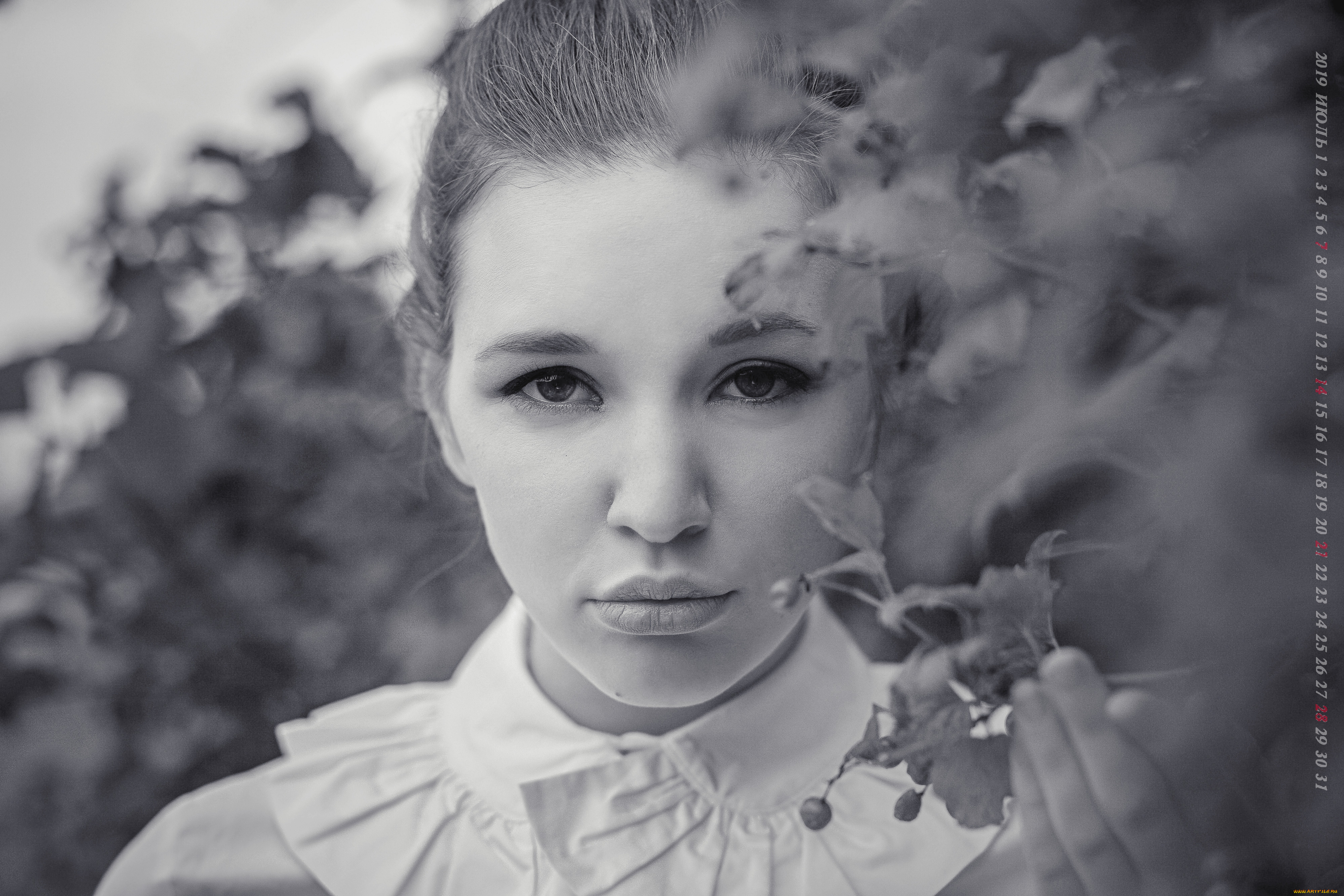 календари, компьютерный, дизайн, лицо, девушка, 2019, calendar, ветка, листья, взгляд