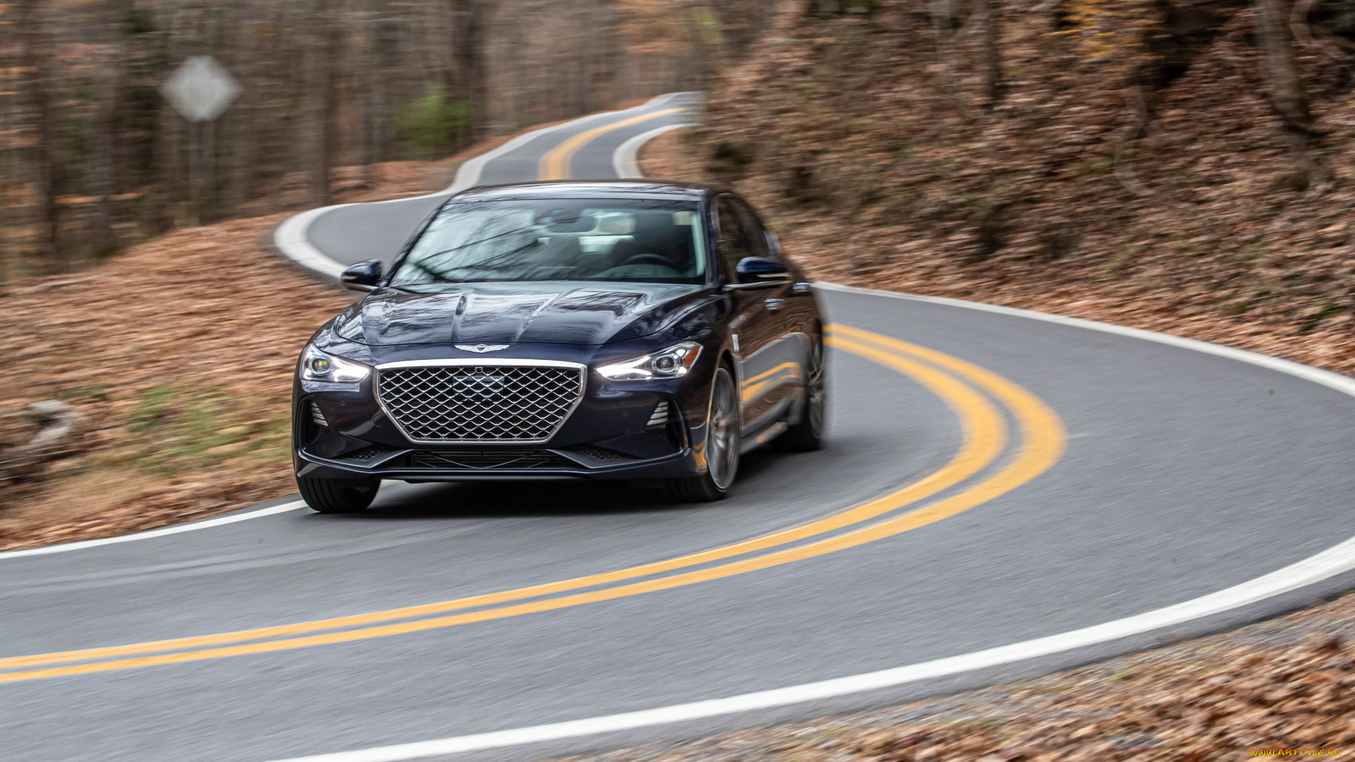 автомобили, genesis