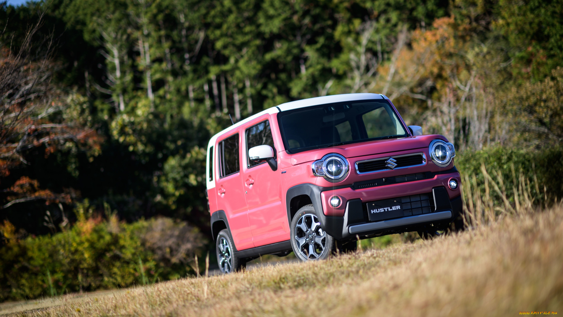 автомобили, suzuki