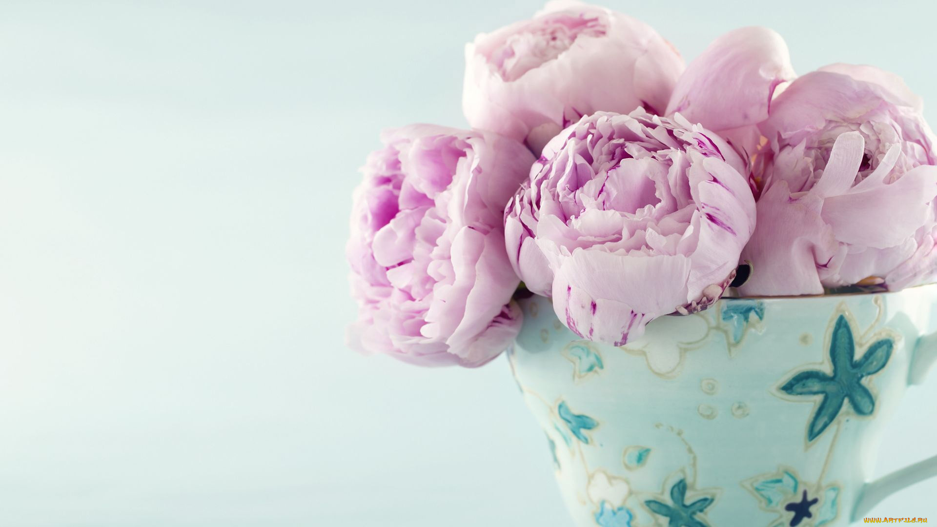 цветы, пионы, букет, ваза