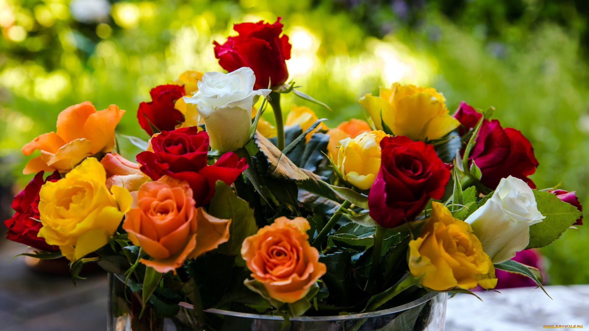 цветы, розы, бутоны, букет, разноцветный