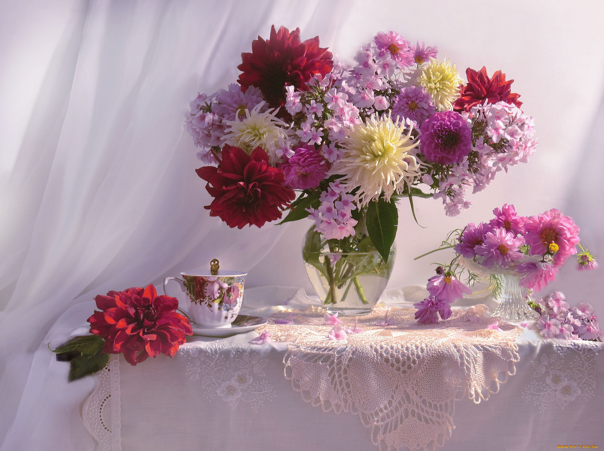 цветы, букеты, , композиции, флоксы, георгины