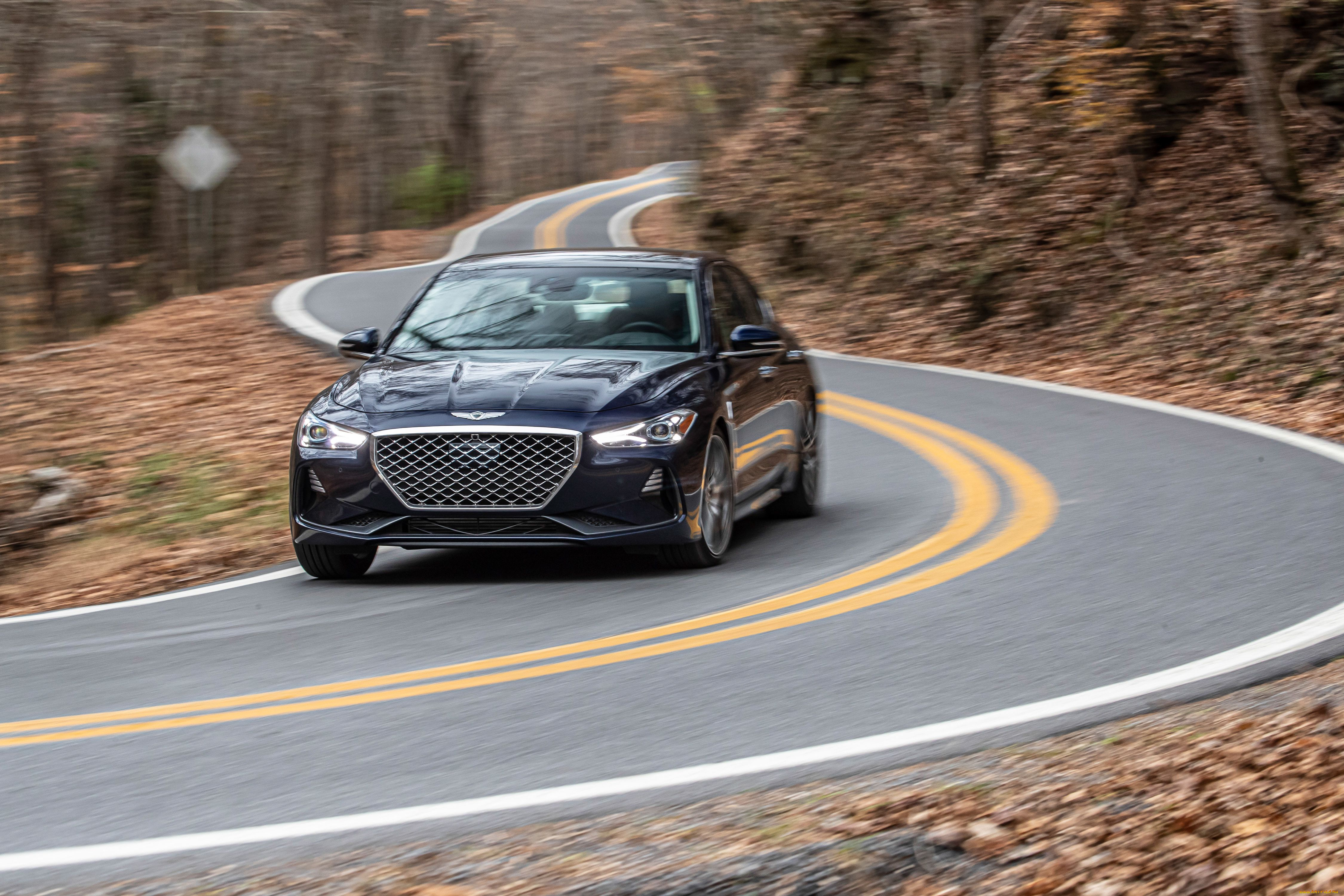 автомобили, genesis