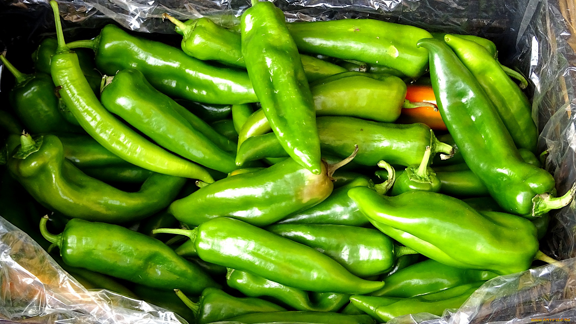 еда, перец, зеленый, стручки